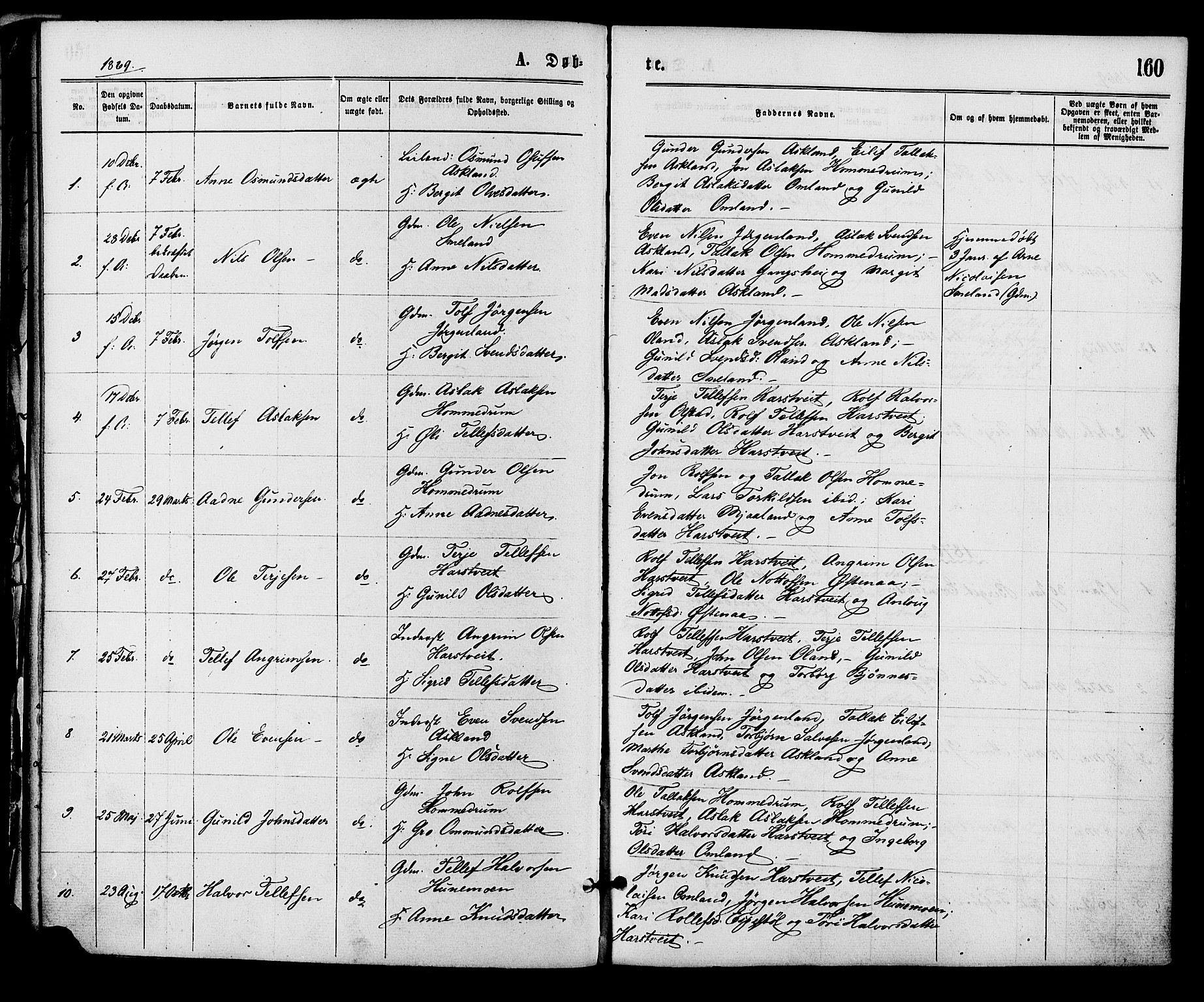 Åmli sokneprestkontor, SAK/1111-0050/F/Fa/Fac/L0009: Parish register (official) no. A 9 /2, 1869-1884, p. 160