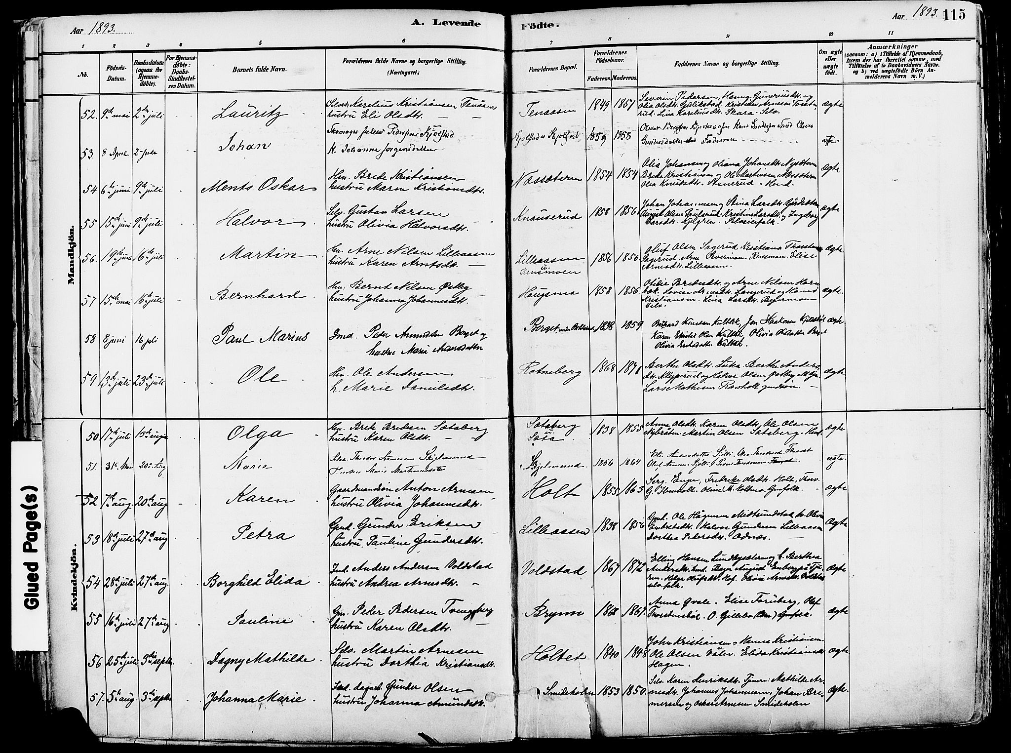 Grue prestekontor, AV/SAH-PREST-036/H/Ha/Haa/L0012: Parish register (official) no. 12, 1881-1897, p. 115