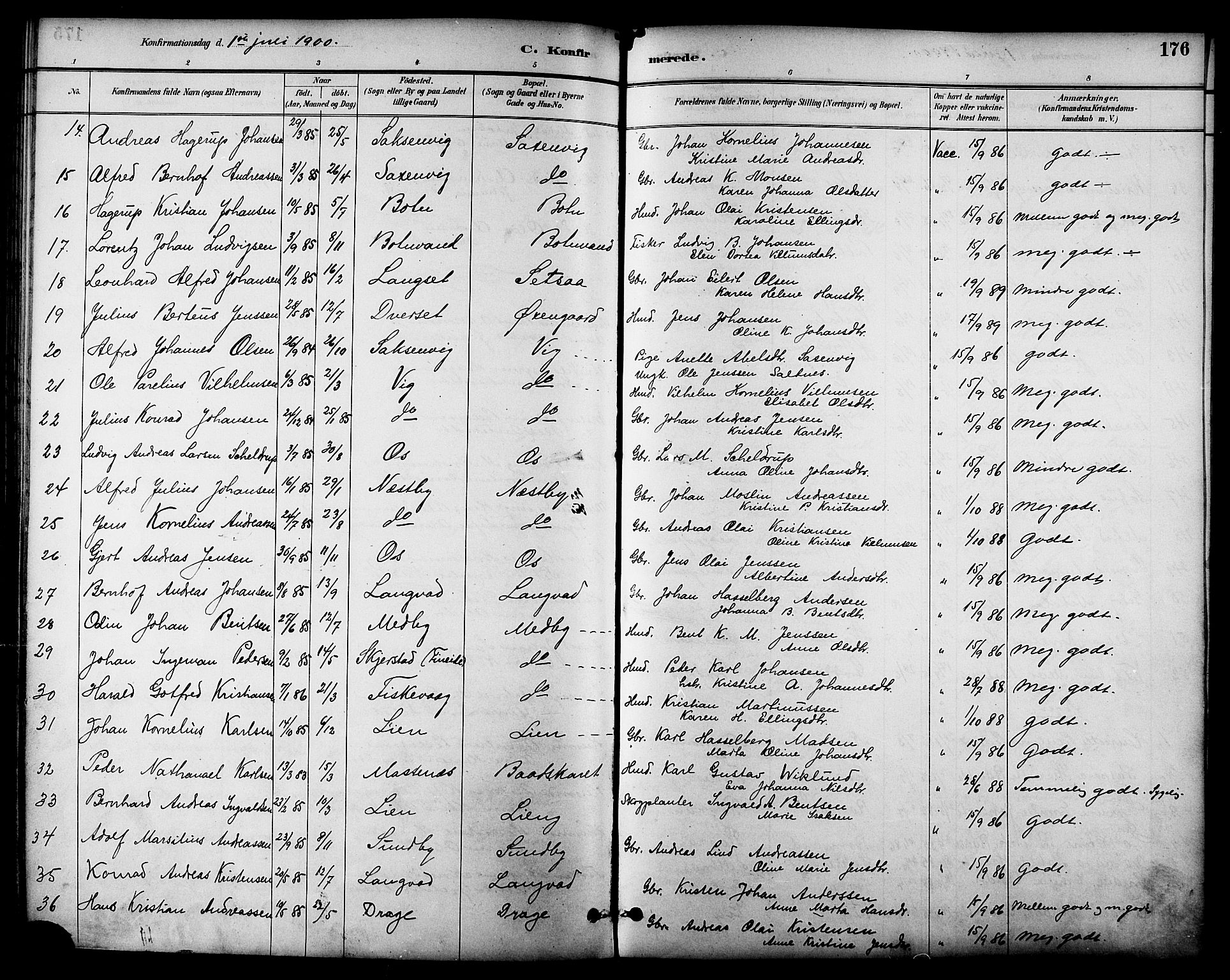 Ministerialprotokoller, klokkerbøker og fødselsregistre - Nordland, AV/SAT-A-1459/847/L0669: Parish register (official) no. 847A09, 1887-1901, p. 176