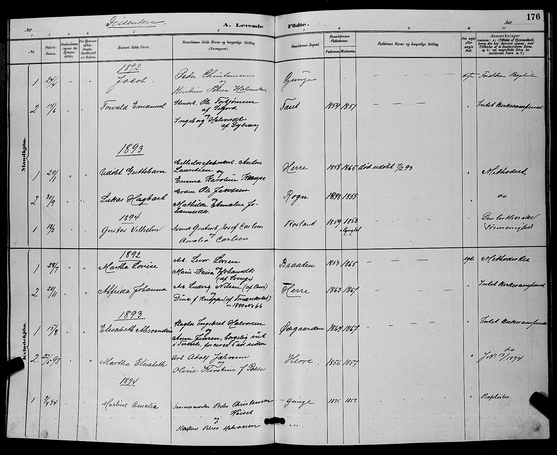 Bamble kirkebøker, SAKO/A-253/G/Ga/L0009: Parish register (copy) no. I 9, 1888-1900, p. 176