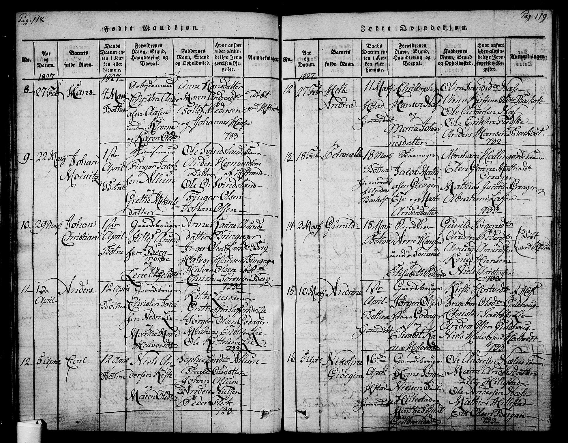 Botne kirkebøker, AV/SAKO-A-340/F/Fa/L0005: Parish register (official) no. I 5, 1814-1836, p. 118-119