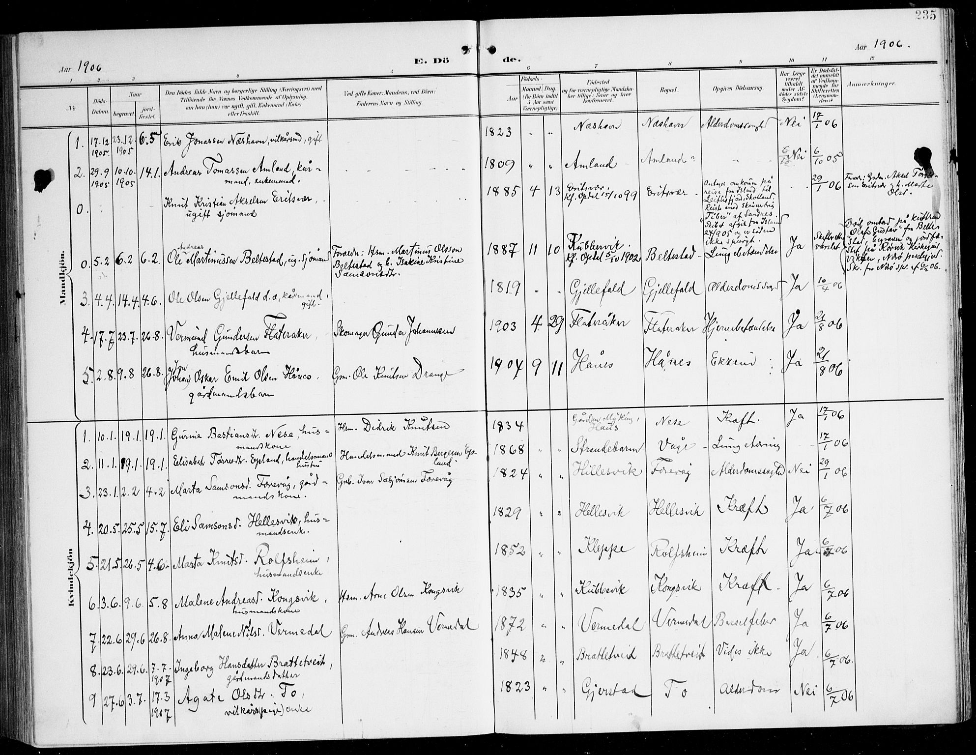 Tysnes sokneprestembete, AV/SAB-A-78601/H/Haa: Parish register (official) no. D 2, 1905-1922, p. 235