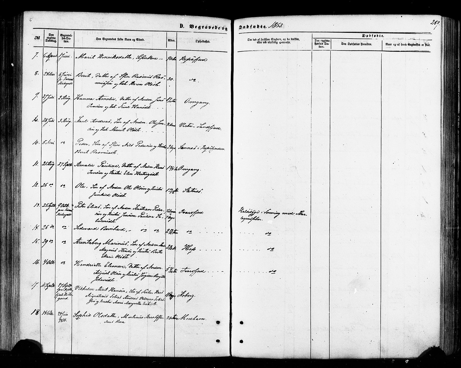 Tana sokneprestkontor, SATØ/S-1334/H/Ha/L0002kirke: Parish register (official) no. 2 /2, 1862-1877, p. 259