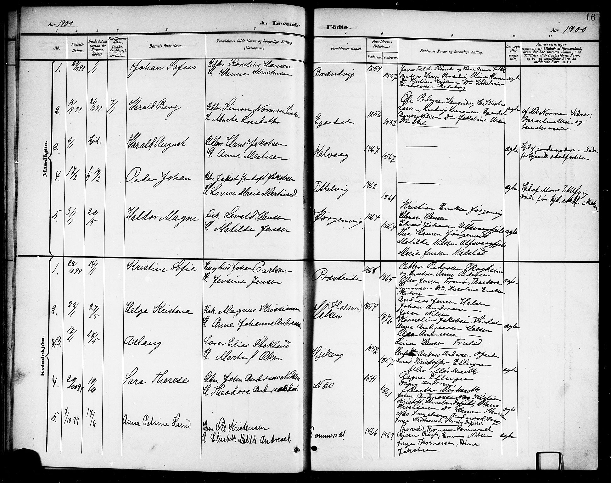 Ministerialprotokoller, klokkerbøker og fødselsregistre - Nordland, AV/SAT-A-1459/859/L0860: Parish register (copy) no. 859C06, 1899-1909, p. 16