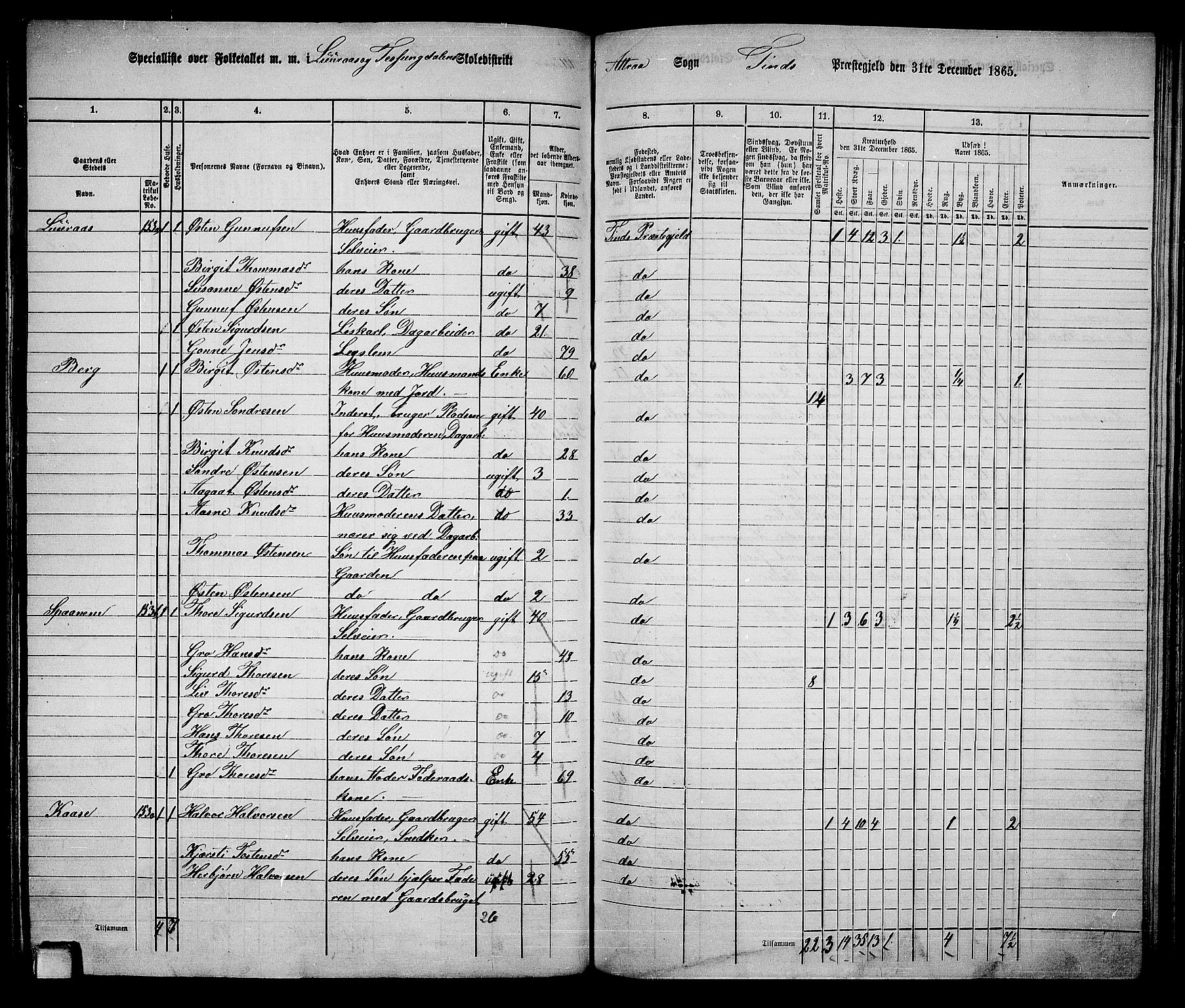 RA, 1865 census for Tinn, 1865, p. 37