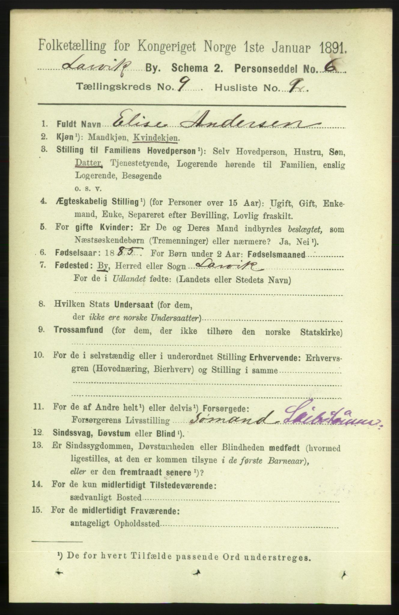 RA, 1891 census for 0707 Larvik, 1891, p. 8502