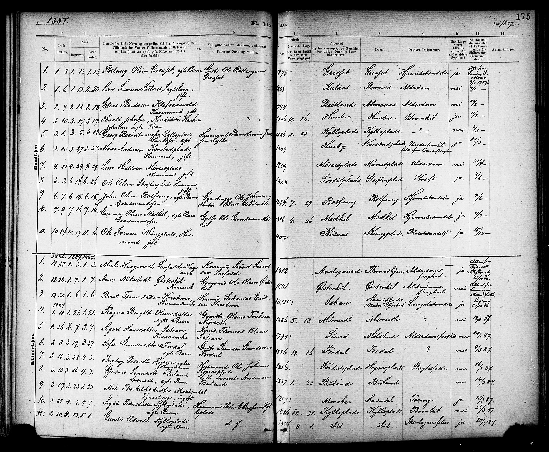 Ministerialprotokoller, klokkerbøker og fødselsregistre - Nord-Trøndelag, SAT/A-1458/703/L0030: Parish register (official) no. 703A03, 1880-1892, p. 175