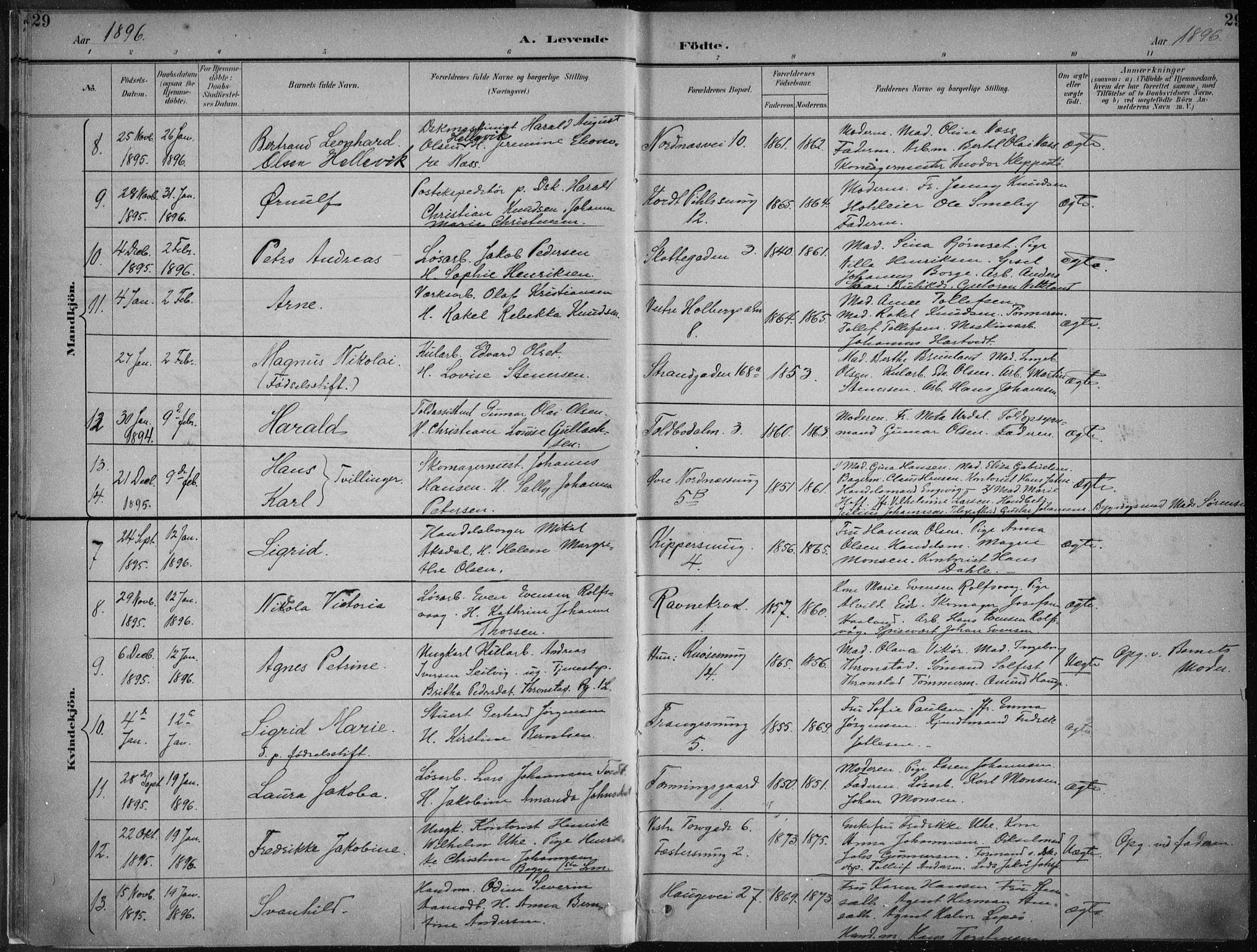 Nykirken Sokneprestembete, AV/SAB-A-77101/H/Haa/L0018: Parish register (official) no. B 6, 1895-1903, p. 29