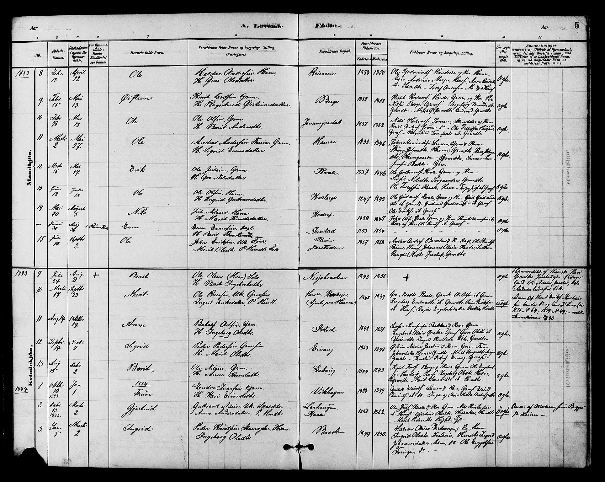 Vestre Slidre prestekontor, SAH/PREST-136/H/Ha/Hab/L0004: Parish register (copy) no. 4, 1881-1912, p. 5