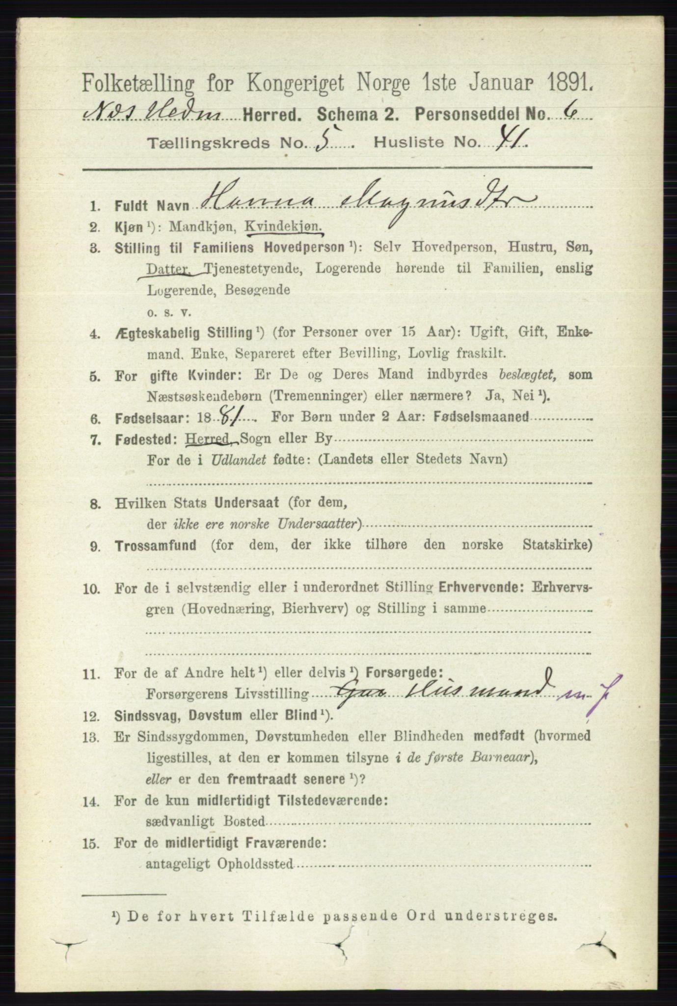 RA, 1891 census for 0411 Nes, 1891, p. 2849