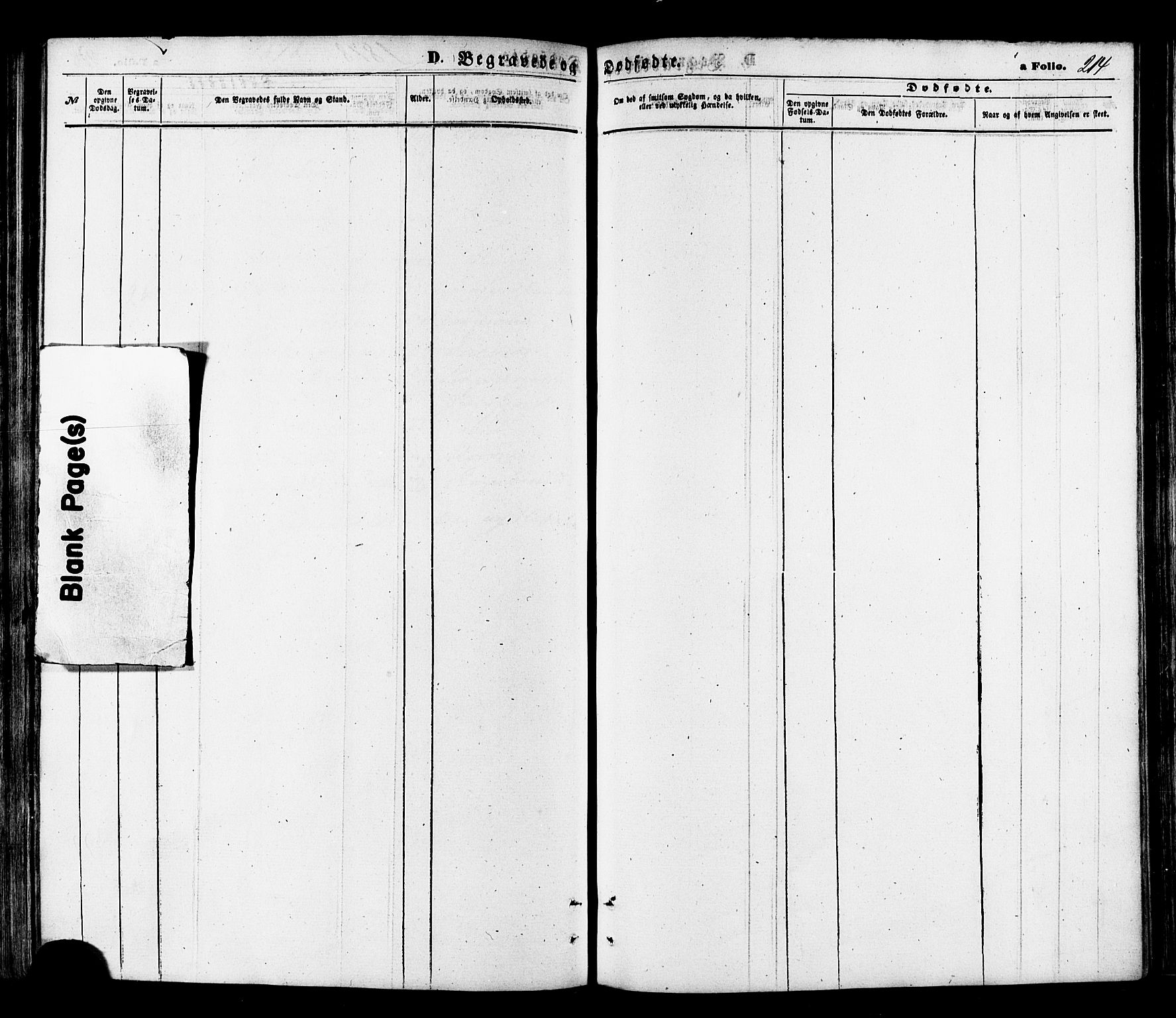 Talvik sokneprestkontor, AV/SATØ-S-1337/H/Ha/L0011kirke: Parish register (official) no. 11, 1864-1877, p. 214