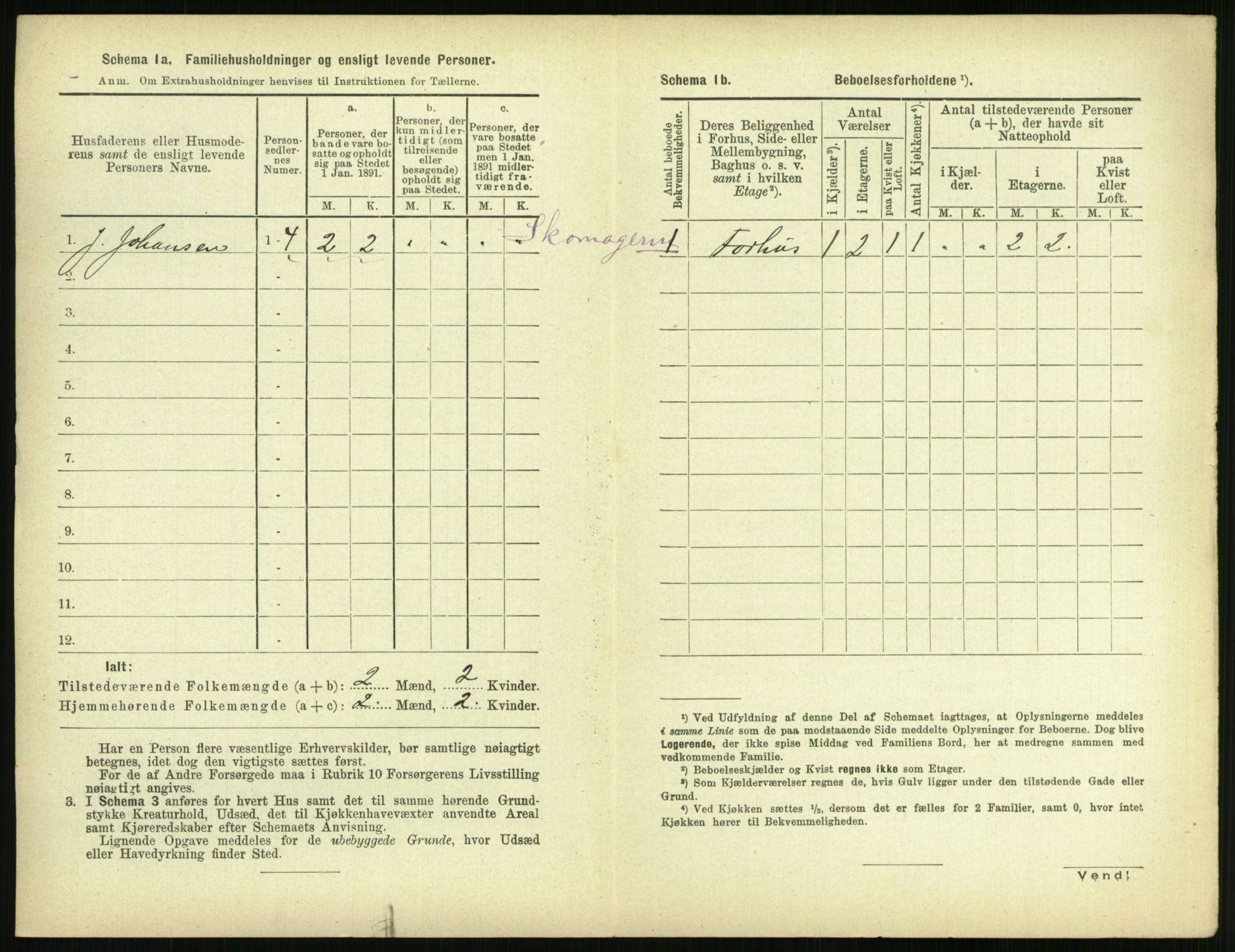 RA, 1891 census for 0802 Langesund, 1891, p. 193