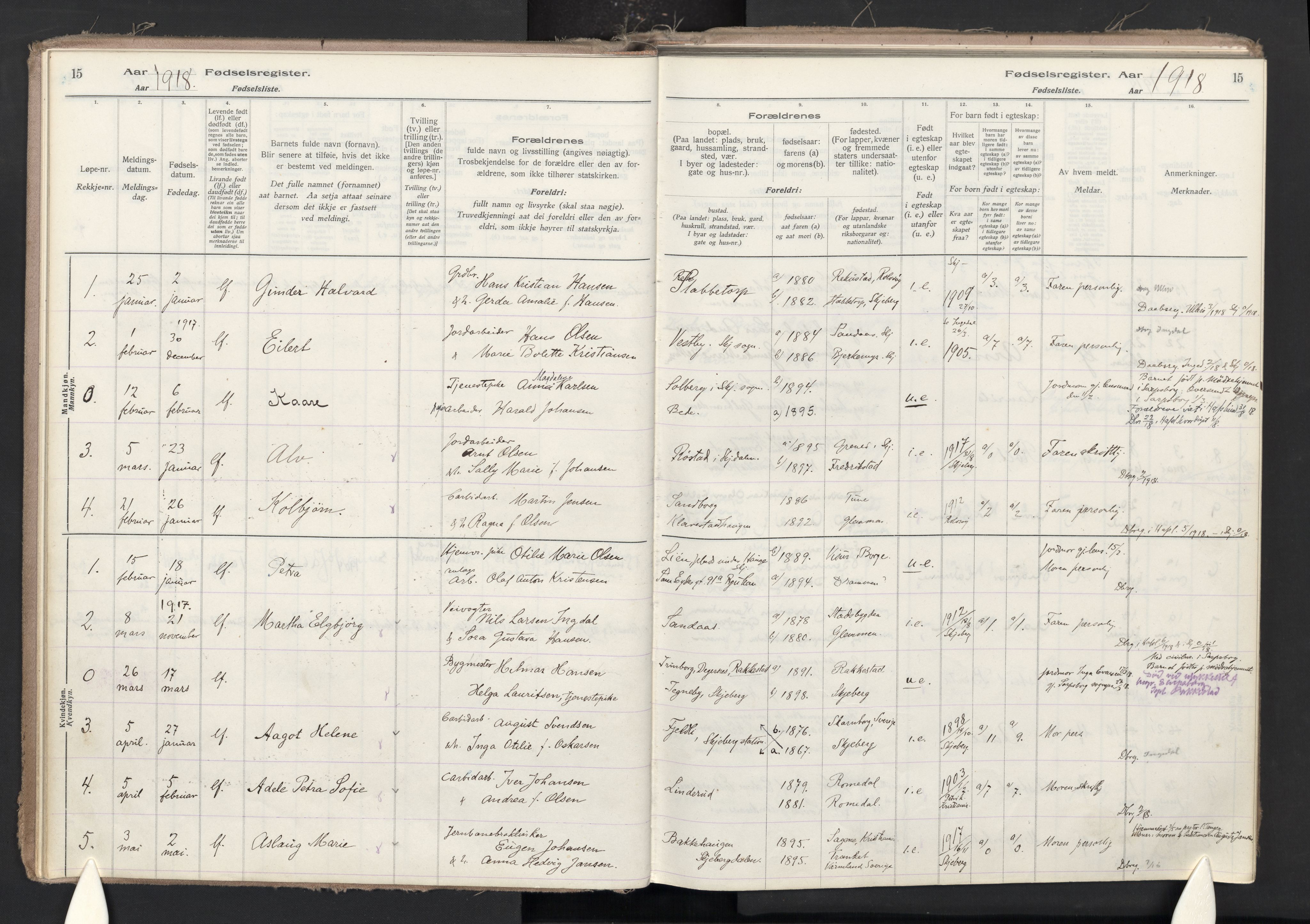 Skjeberg prestekontor Kirkebøker, SAO/A-10923/J/Ja/L0001: Birth register no. I 1, 1916-1945, p. 15