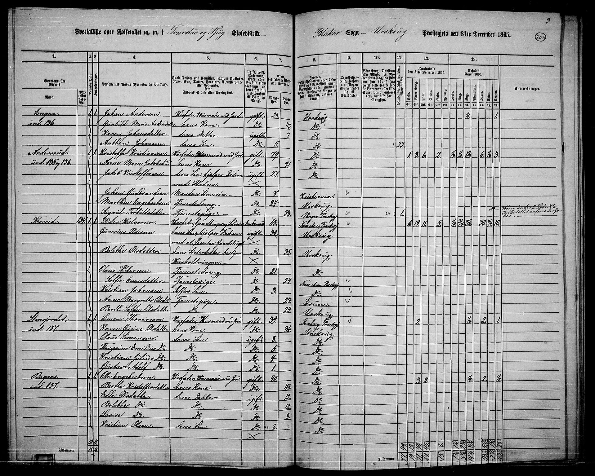 RA, 1865 census for Aurskog, 1865, p. 184