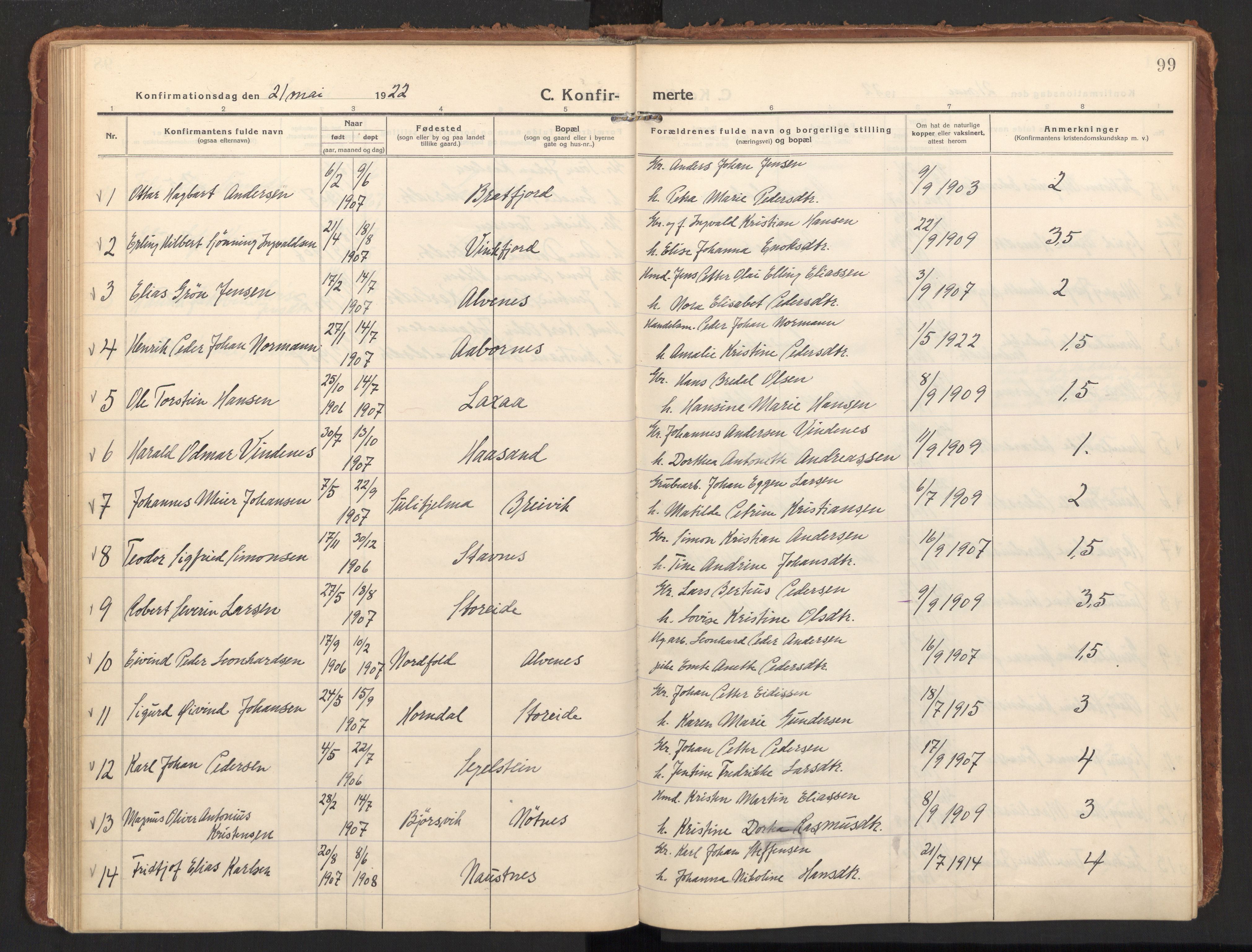 Ministerialprotokoller, klokkerbøker og fødselsregistre - Nordland, AV/SAT-A-1459/858/L0833: Parish register (official) no. 858A03, 1916-1934, p. 99