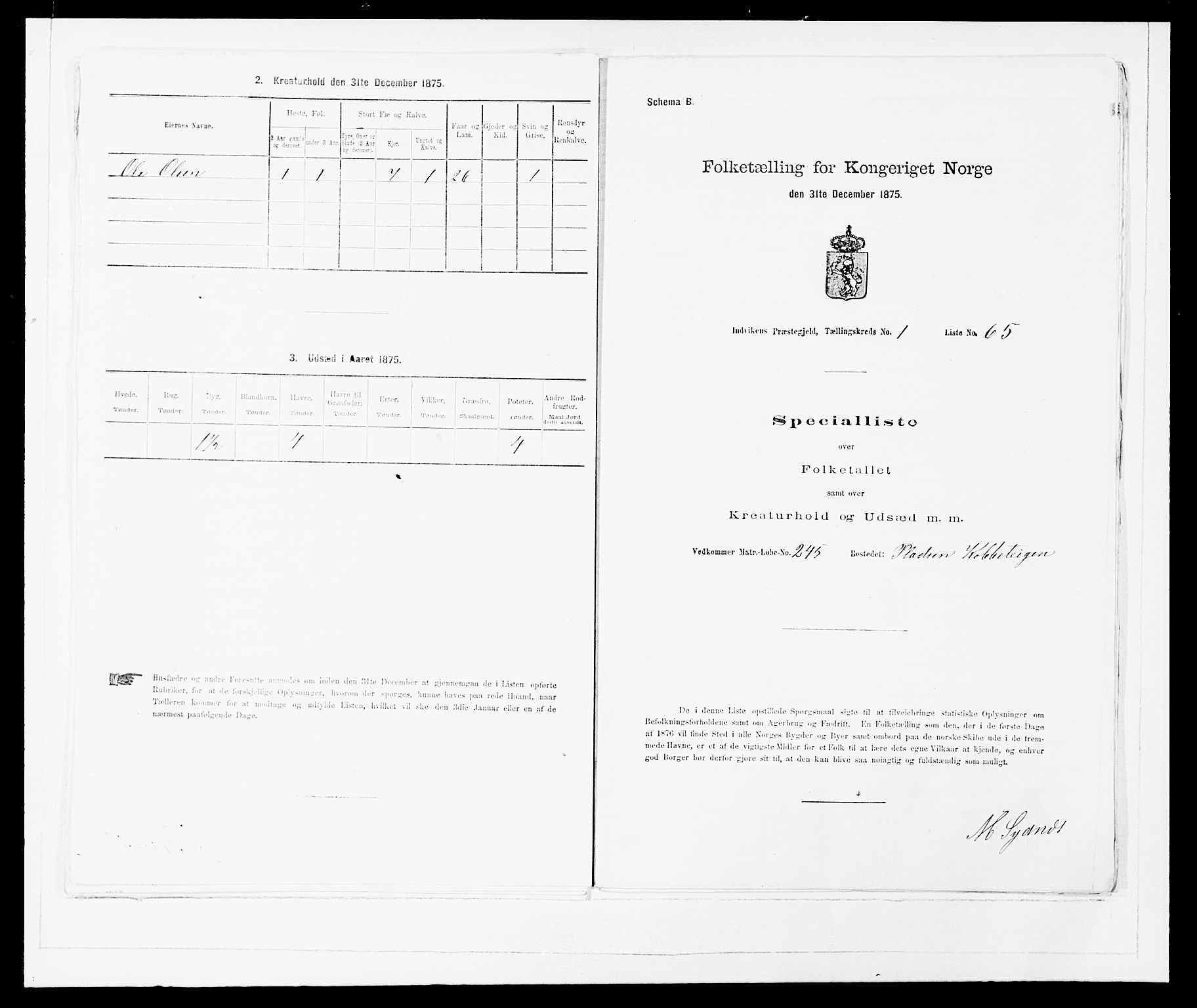 SAB, 1875 Census for 1447P Innvik, 1875, p. 151