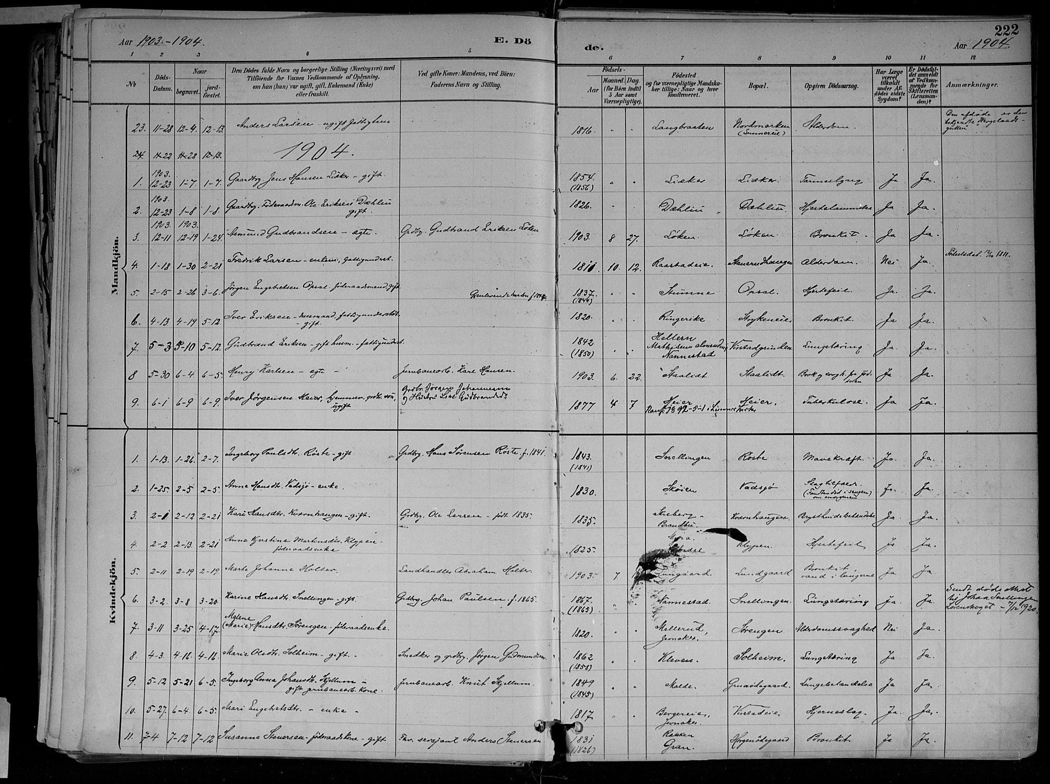 Jevnaker prestekontor, SAH/PREST-116/H/Ha/Haa/L0010: Parish register (official) no. 10, 1891-1906, p. 222