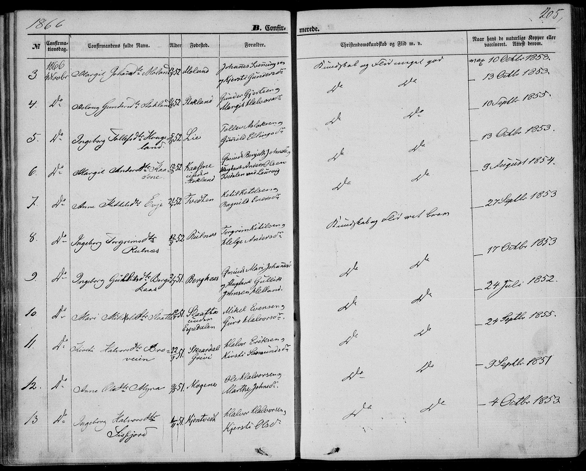 Bø kirkebøker, SAKO/A-257/F/Fa/L0009: Parish register (official) no. 9, 1862-1879, p. 205