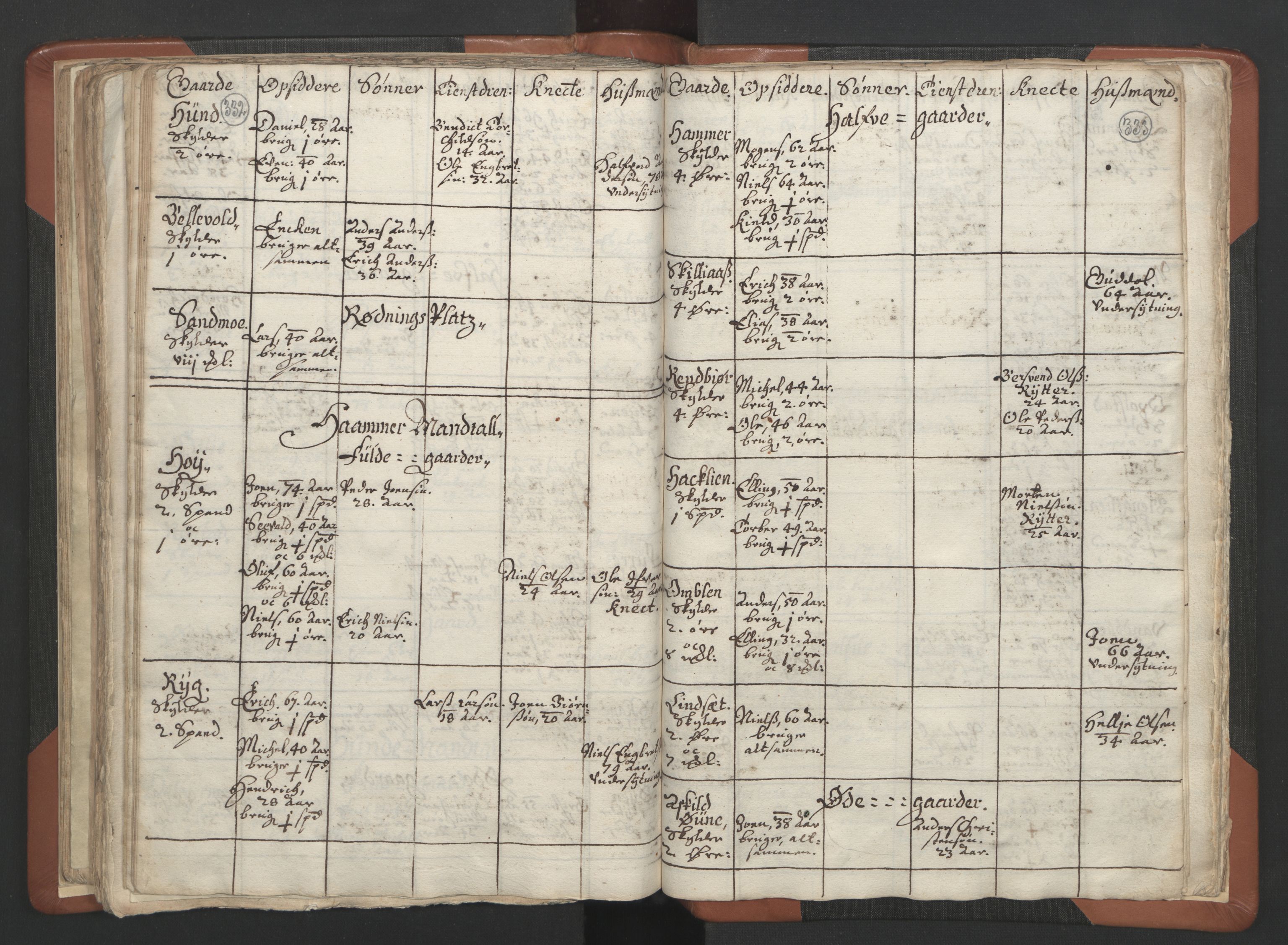 RA, Vicar's Census 1664-1666, no. 34: Namdal deanery, 1664-1666, p. 332-333