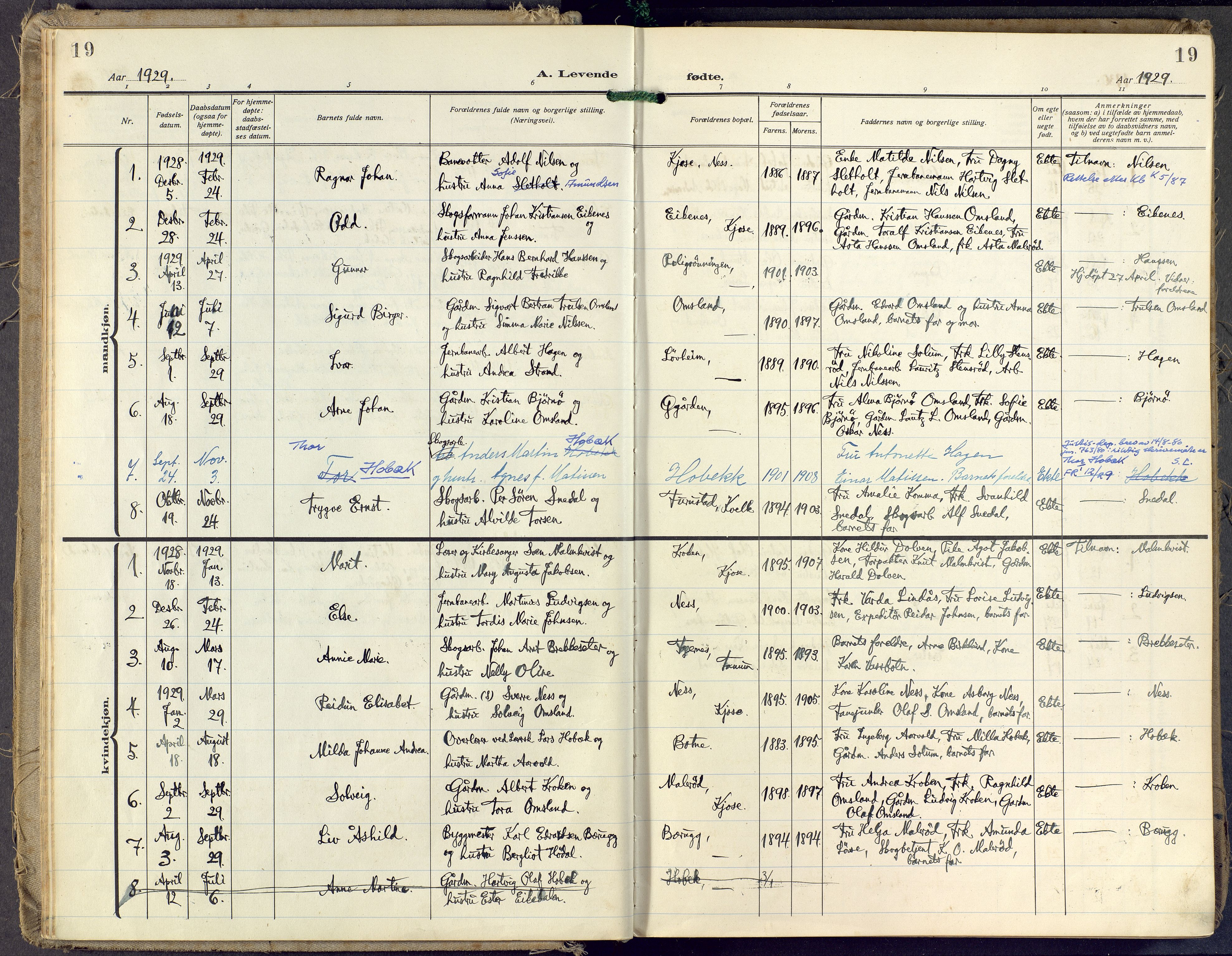 Brunlanes kirkebøker, AV/SAKO-A-342/F/Fd/L0002: Parish register (official) no. IV 2, 1918-1958, p. 19