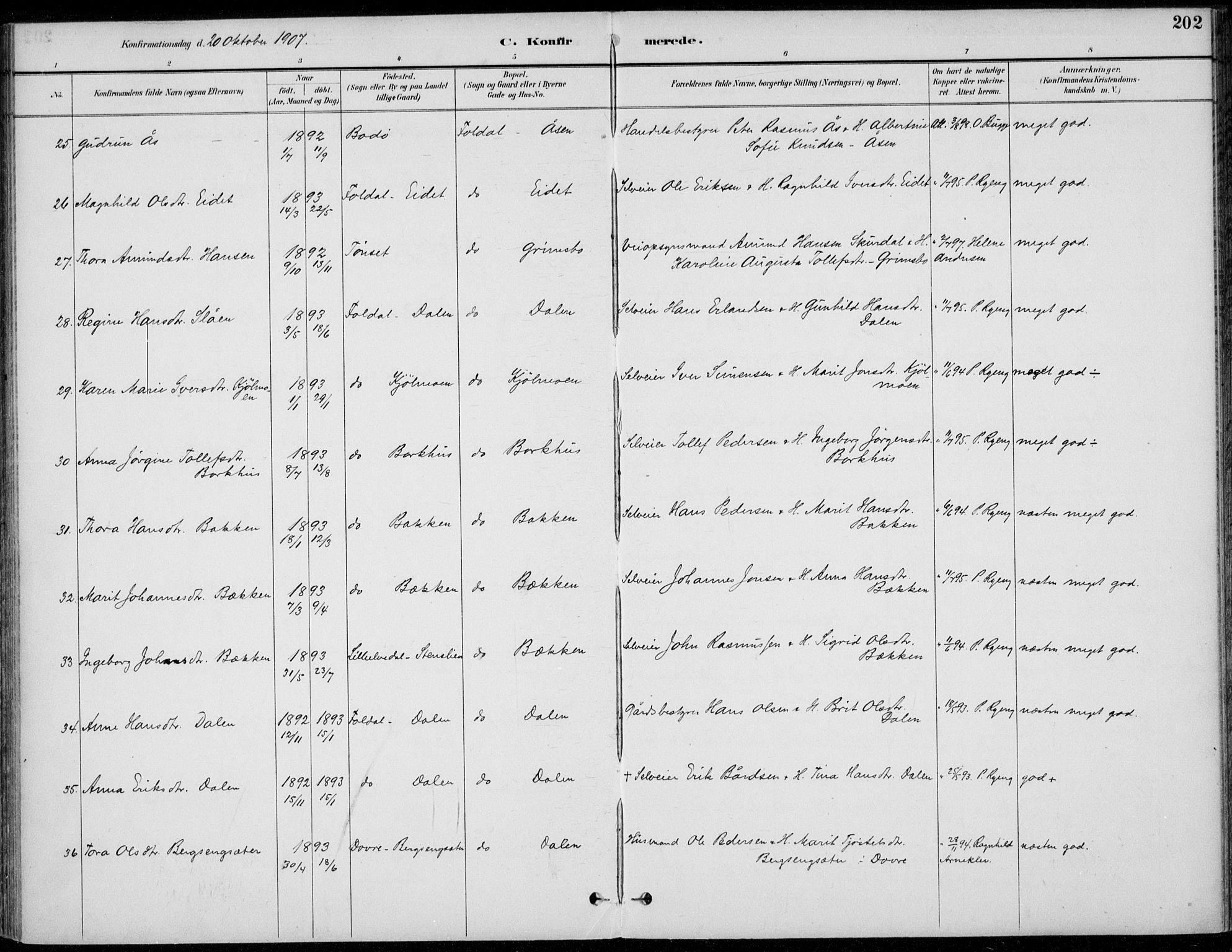 Alvdal prestekontor, AV/SAH-PREST-060/H/Ha/Haa/L0003: Parish register (official) no. 3, 1886-1912, p. 202