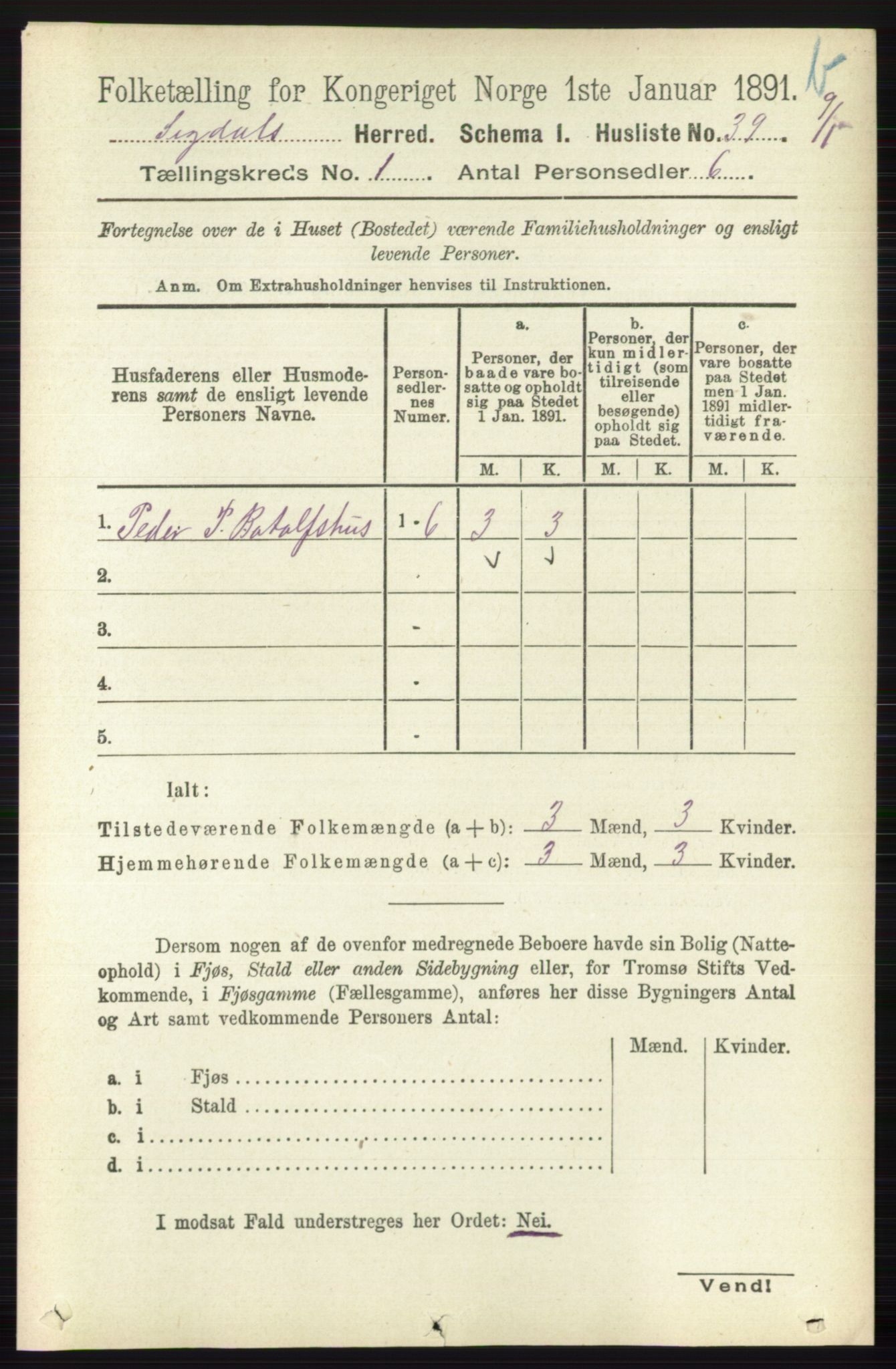 RA, 1891 census for 0621 Sigdal, 1891, p. 3707