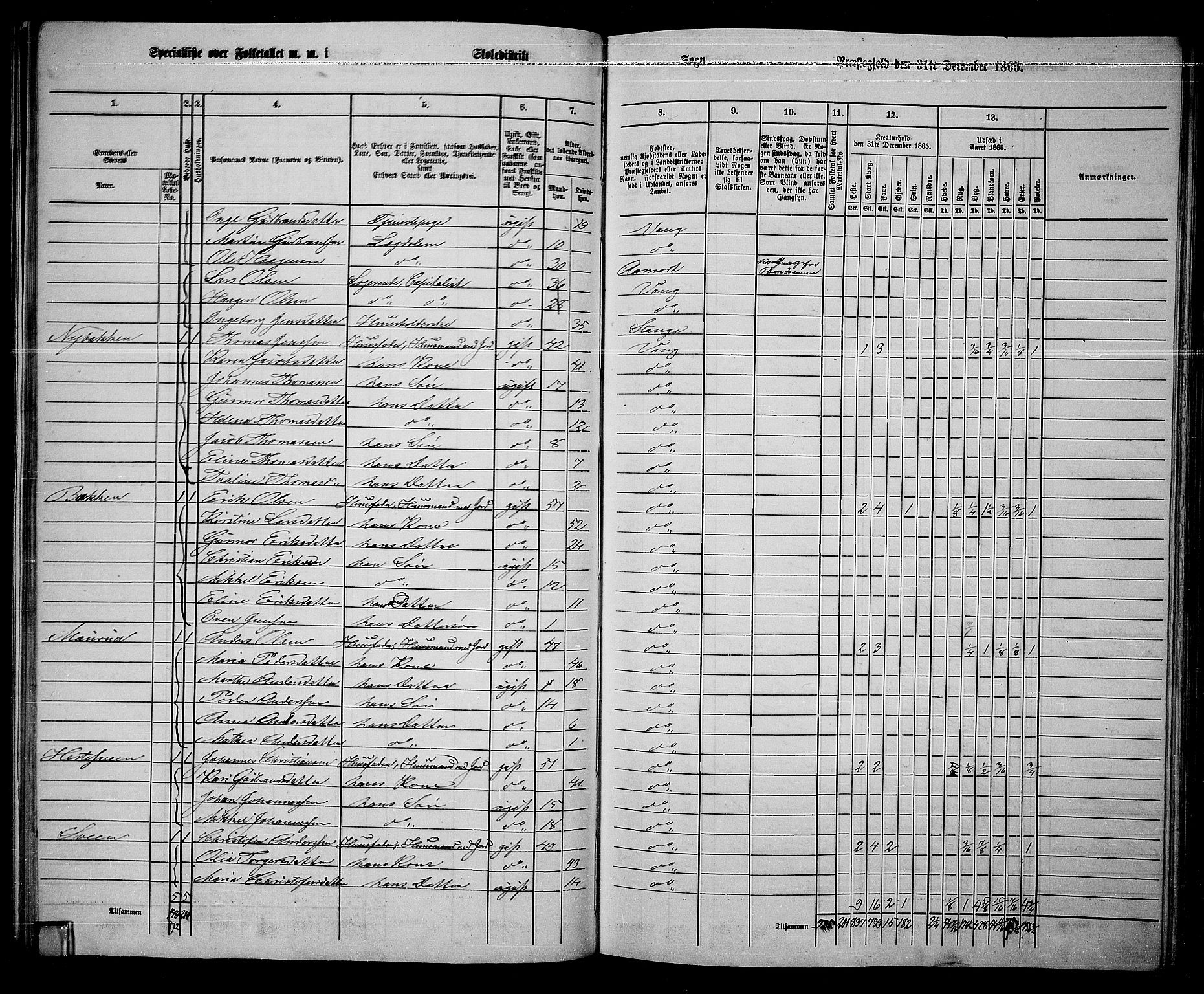 RA, 1865 census for Vang/Vang og Furnes, 1865, p. 209