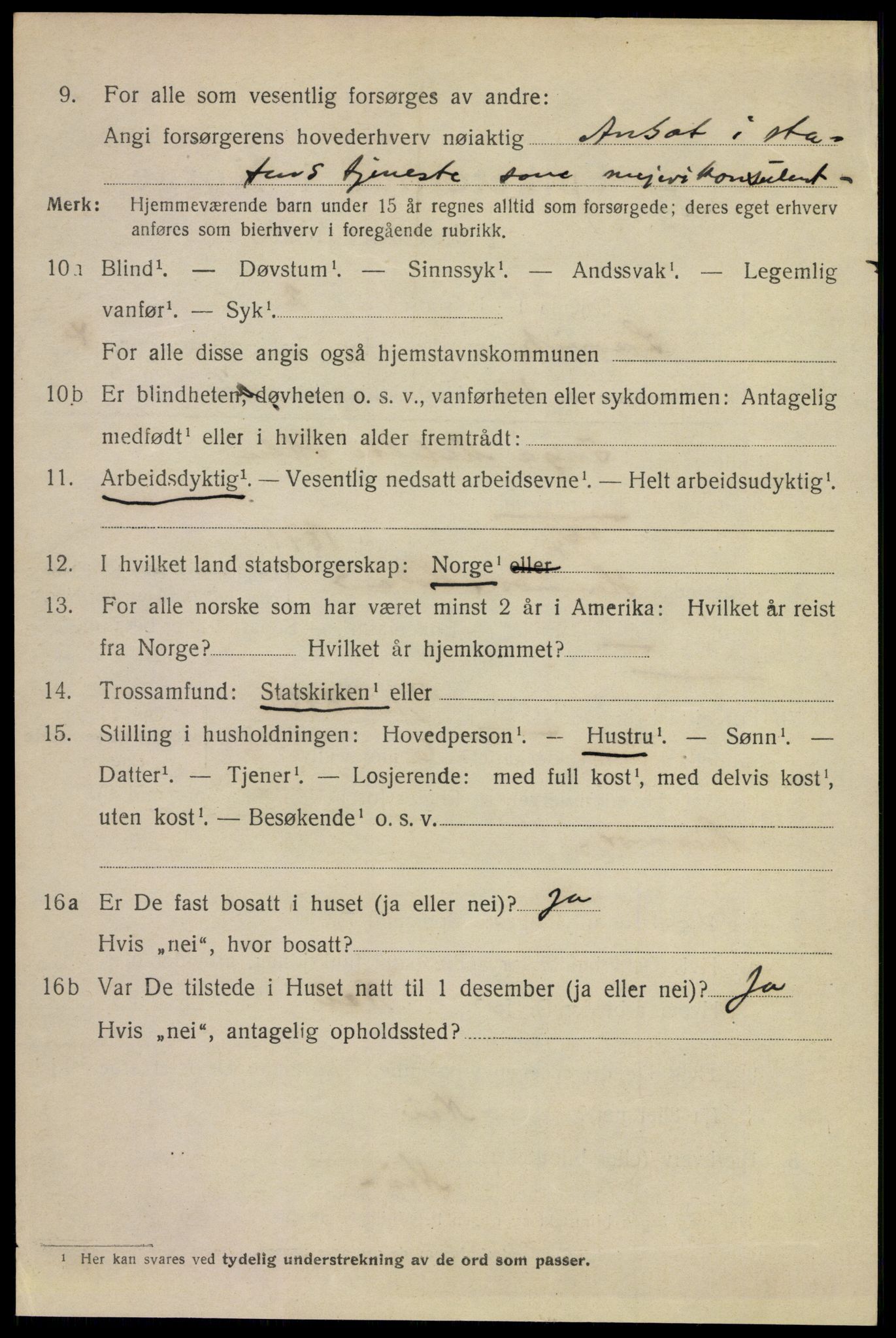 SAKO, 1920 census for Larvik, 1920, p. 13625