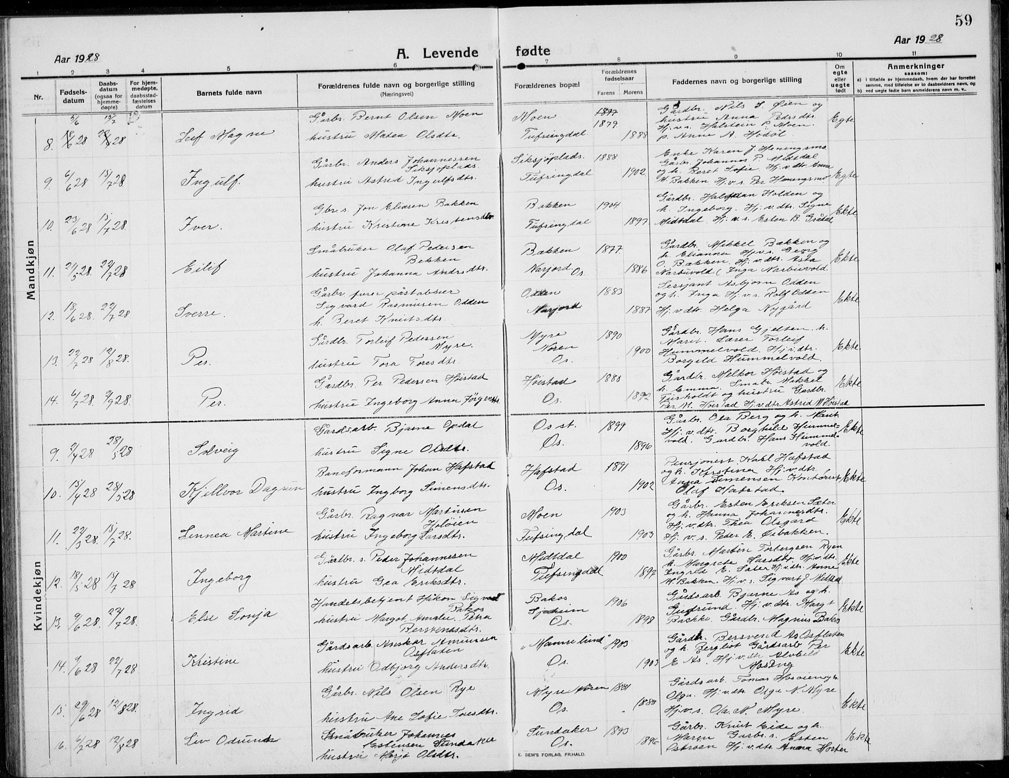 Tolga prestekontor, AV/SAH-PREST-062/L/L0014: Parish register (copy) no. 14, 1913-1936, p. 59