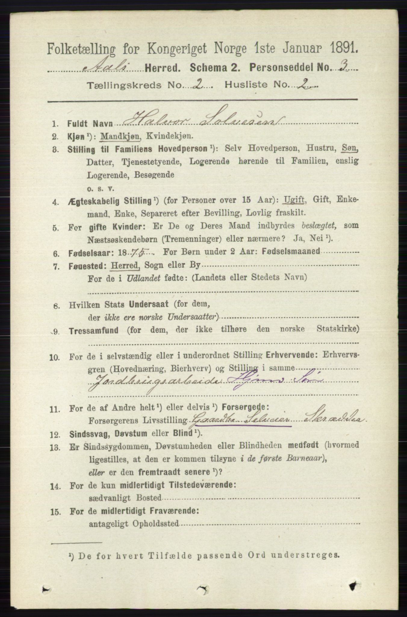 RA, 1891 census for 0619 Ål, 1891, p. 378