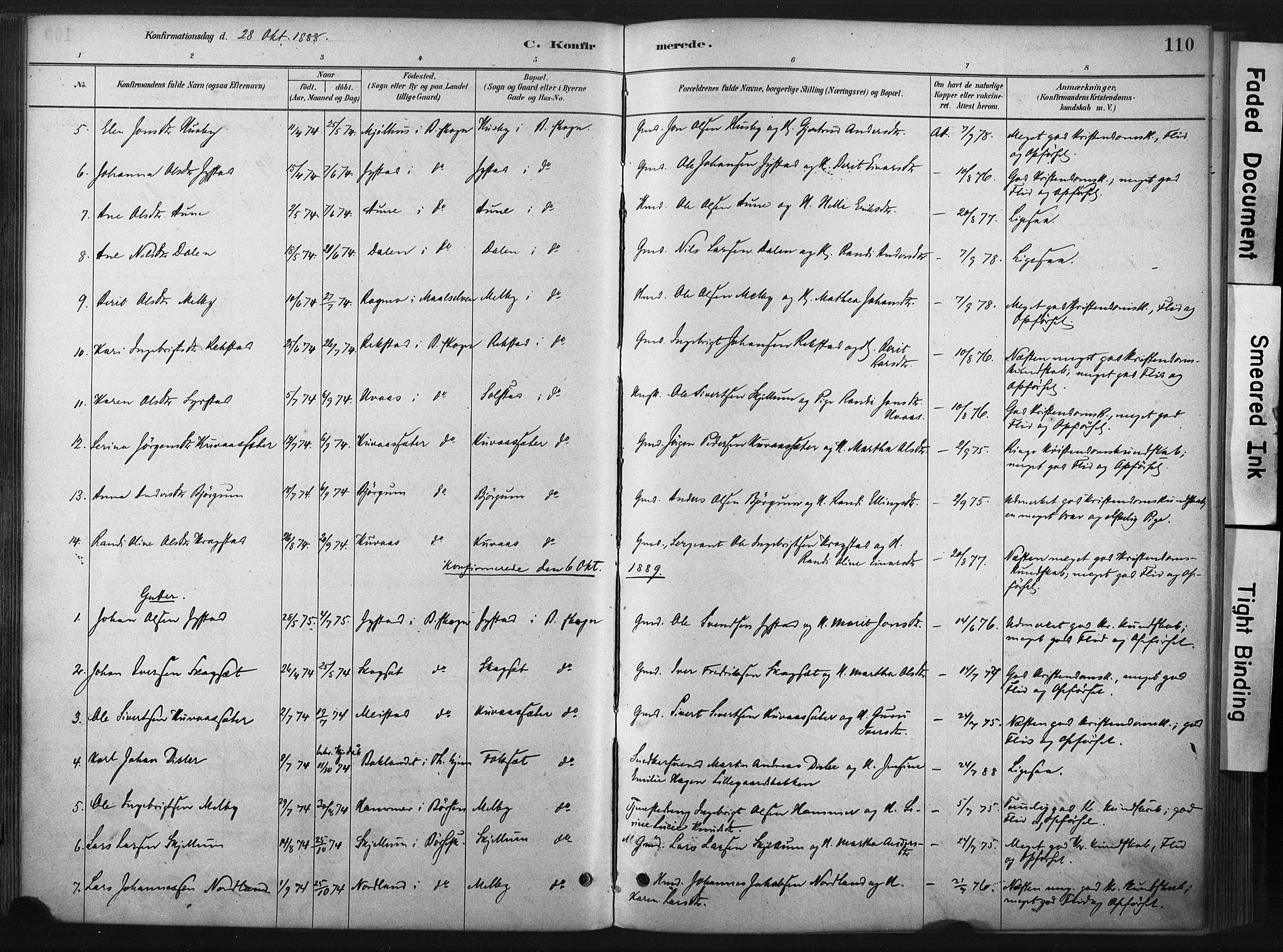 Ministerialprotokoller, klokkerbøker og fødselsregistre - Sør-Trøndelag, SAT/A-1456/667/L0795: Parish register (official) no. 667A03, 1879-1907, p. 110
