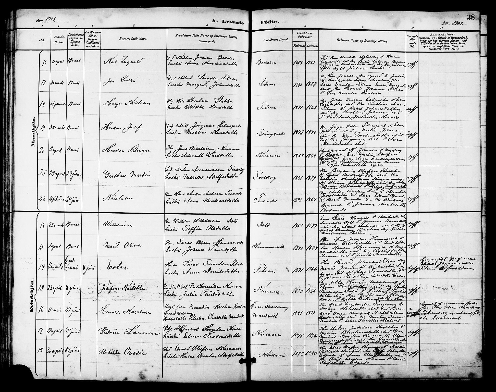 Ministerialprotokoller, klokkerbøker og fødselsregistre - Sør-Trøndelag, AV/SAT-A-1456/641/L0598: Parish register (copy) no. 641C02, 1893-1910, p. 38
