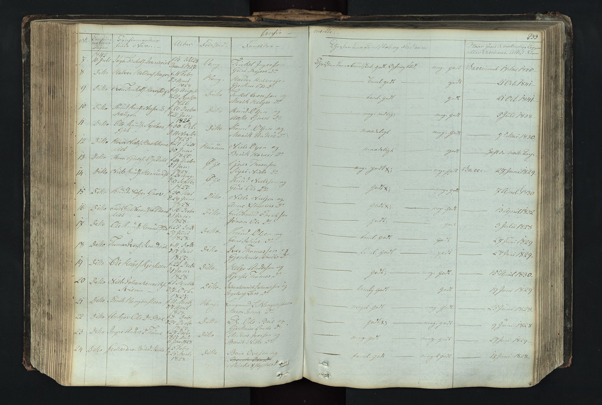 Vang prestekontor, Valdres, SAH/PREST-140/H/Hb/L0004: Parish register (copy) no. 4, 1835-1892, p. 233