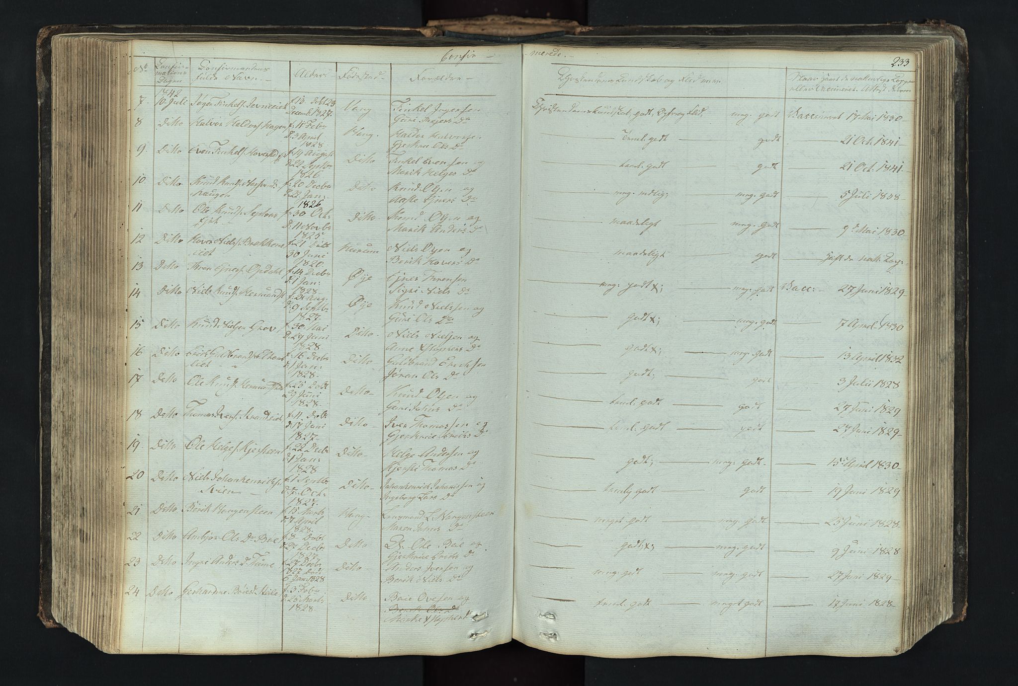 Vang prestekontor, Valdres, AV/SAH-PREST-140/H/Hb/L0004: Parish register (copy) no. 4, 1835-1892, p. 233