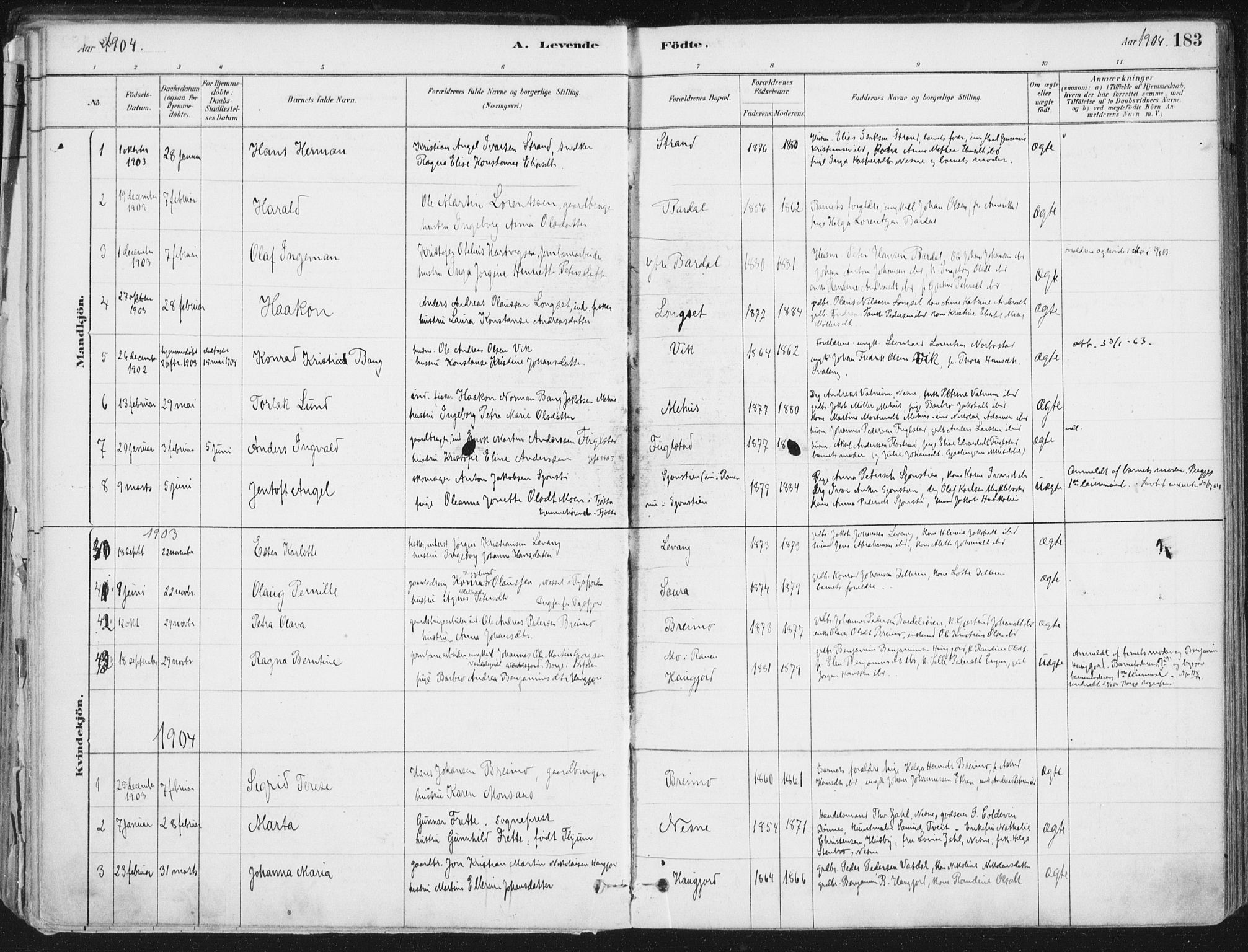 Ministerialprotokoller, klokkerbøker og fødselsregistre - Nordland, SAT/A-1459/838/L0552: Parish register (official) no. 838A10, 1880-1910, p. 183