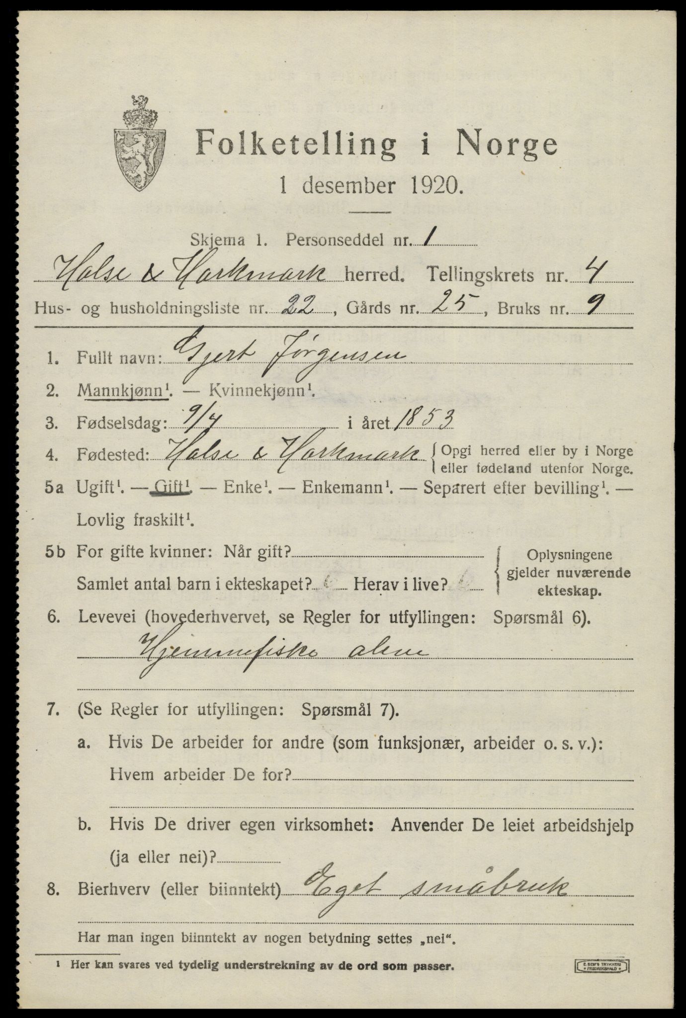 SAK, 1920 census for Halse og Harkmark, 1920, p. 3036