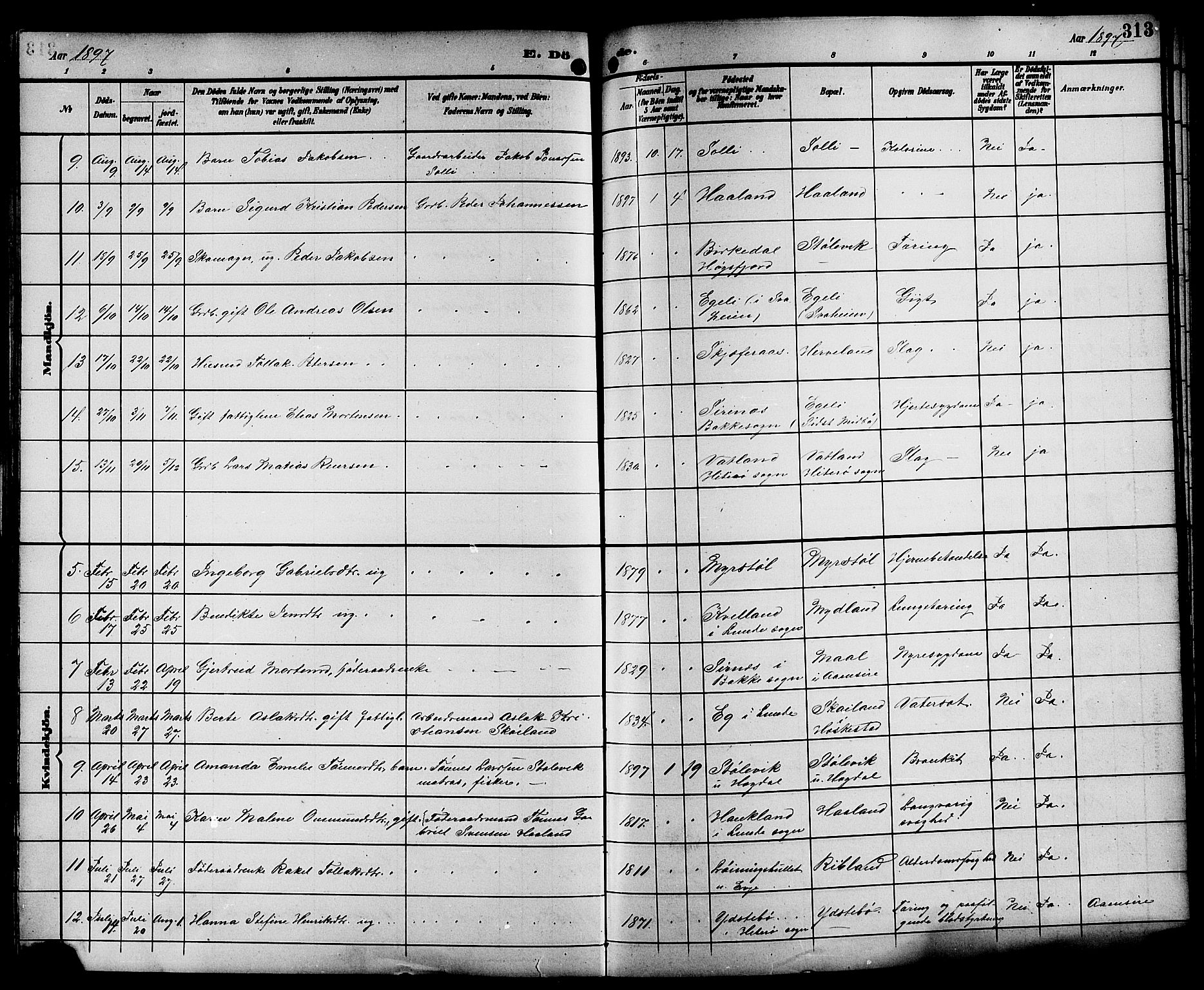 Sokndal sokneprestkontor, AV/SAST-A-101808: Parish register (copy) no. B 6, 1892-1907, p. 313