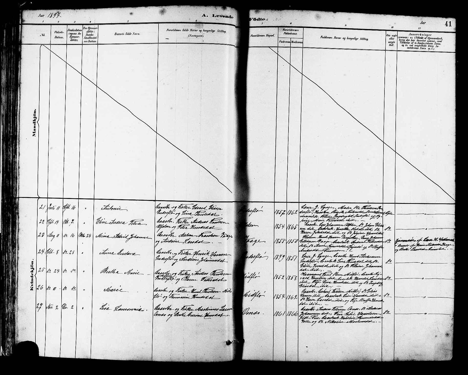 Ministerialprotokoller, klokkerbøker og fødselsregistre - Møre og Romsdal, AV/SAT-A-1454/509/L0112: Parish register (copy) no. 509C02, 1883-1922, p. 41