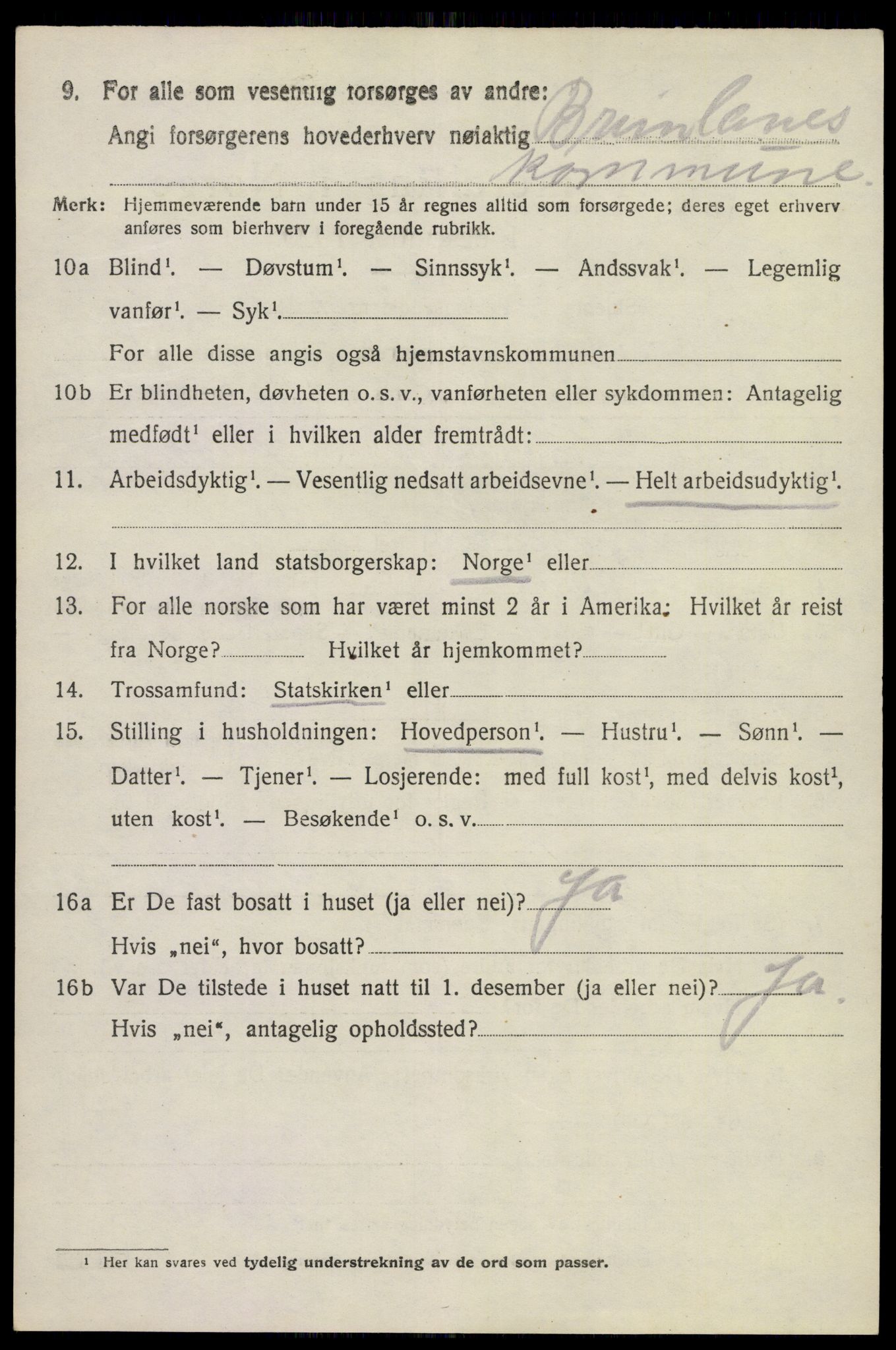 SAKO, 1920 census for Brunlanes, 1920, p. 7048