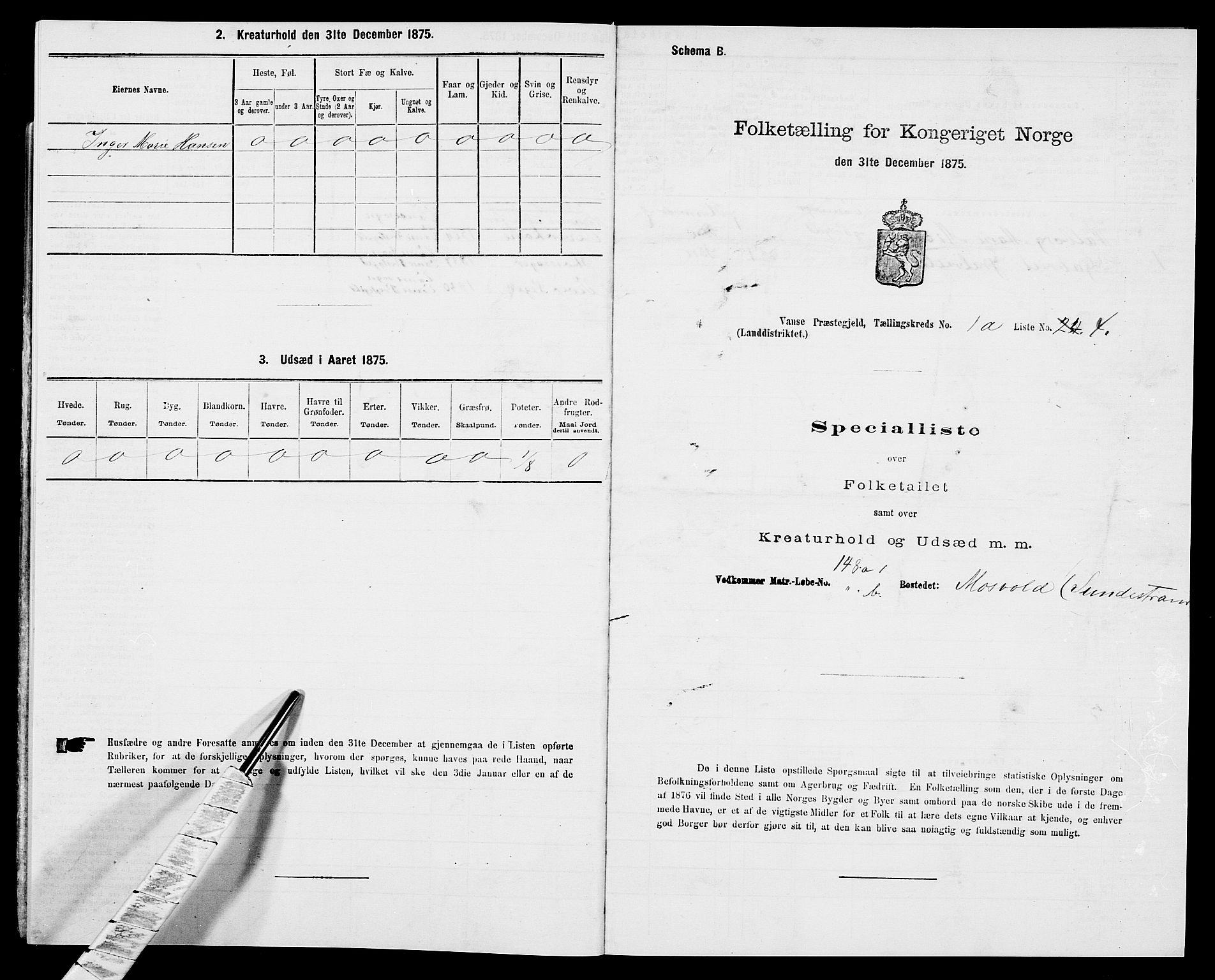 SAK, 1875 census for 1041L Vanse/Vanse og Farsund, 1875, p. 110