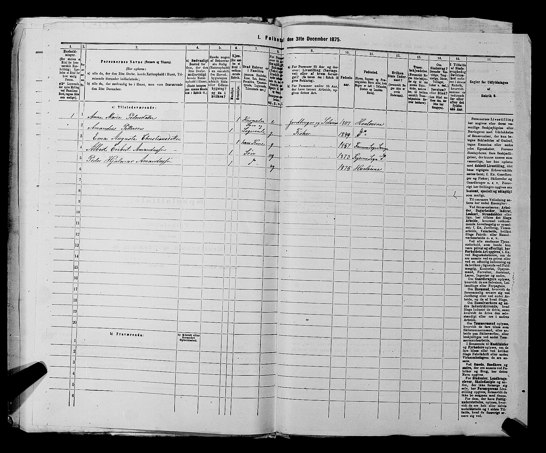 RA, 1875 census for 0111P Hvaler, 1875, p. 729