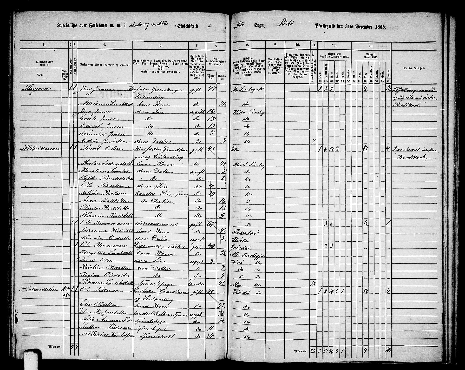 RA, 1865 census for Rødøy, 1865, p. 107