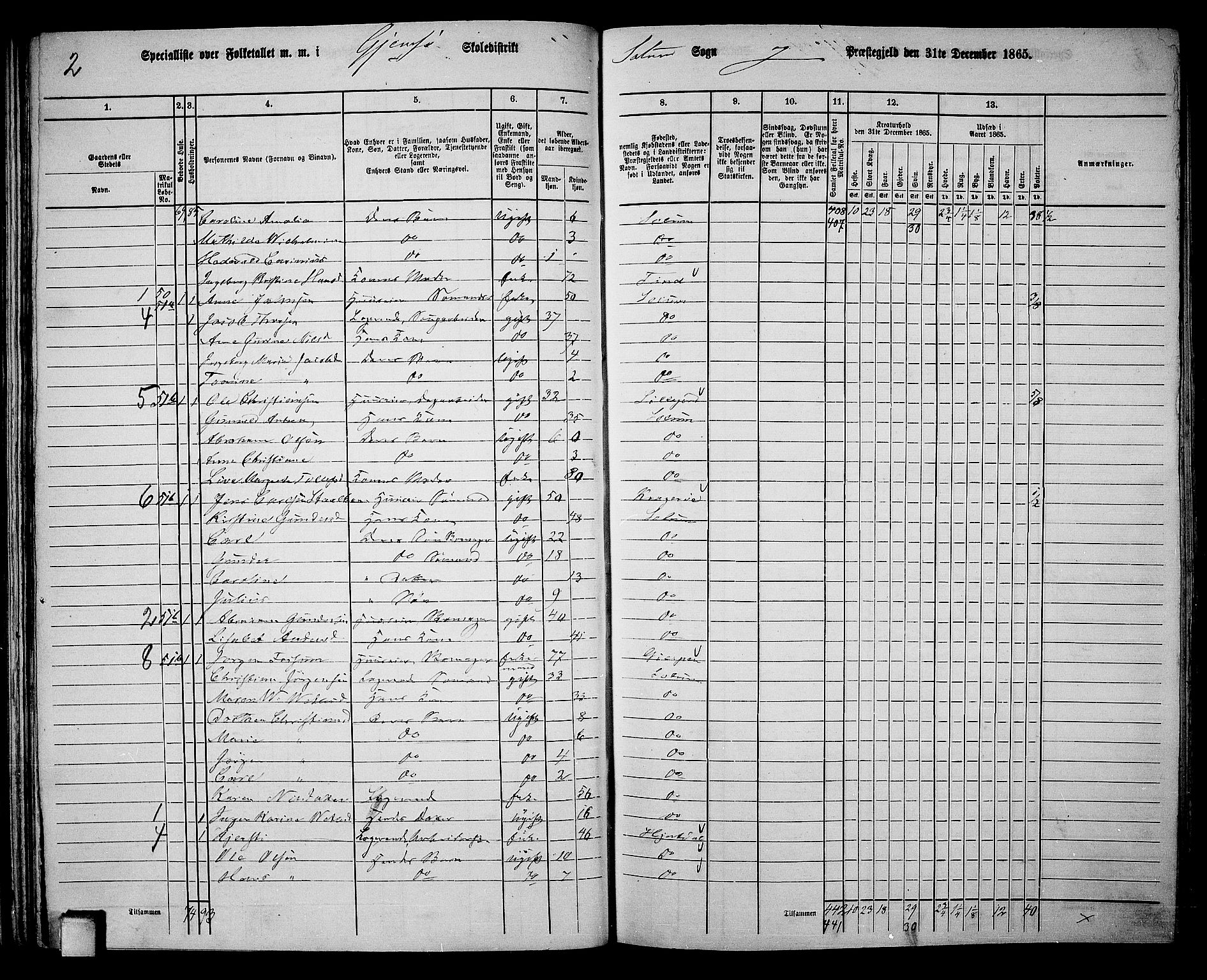 RA, 1865 census for Solum, 1865, p. 62