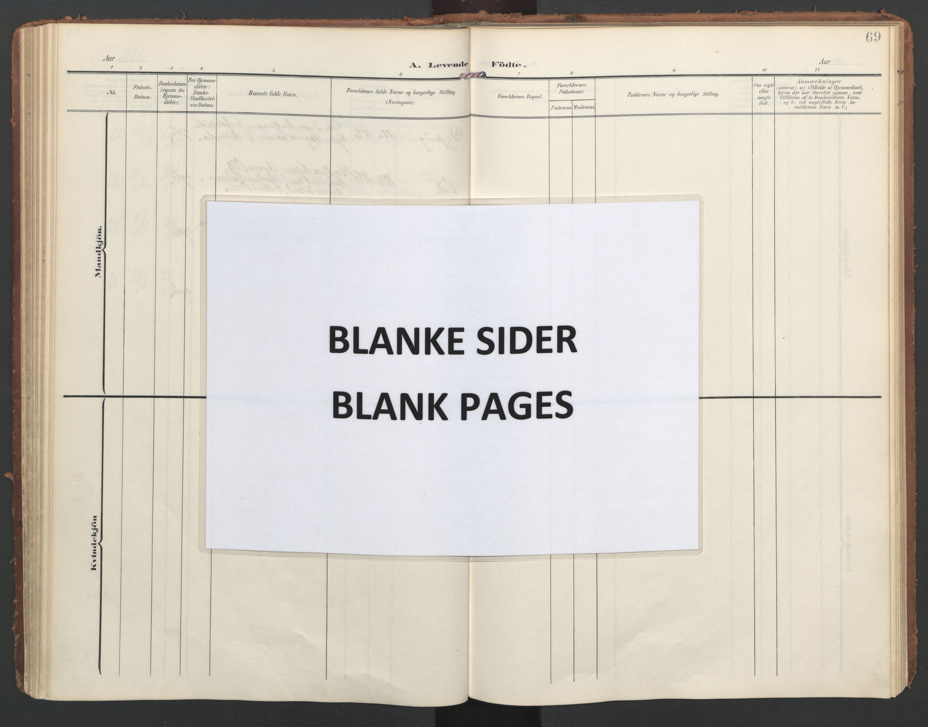 Ministerialprotokoller, klokkerbøker og fødselsregistre - Nordland, AV/SAT-A-1459/855/L0805: Parish register (official) no. 855A13, 1906-1920, p. 69
