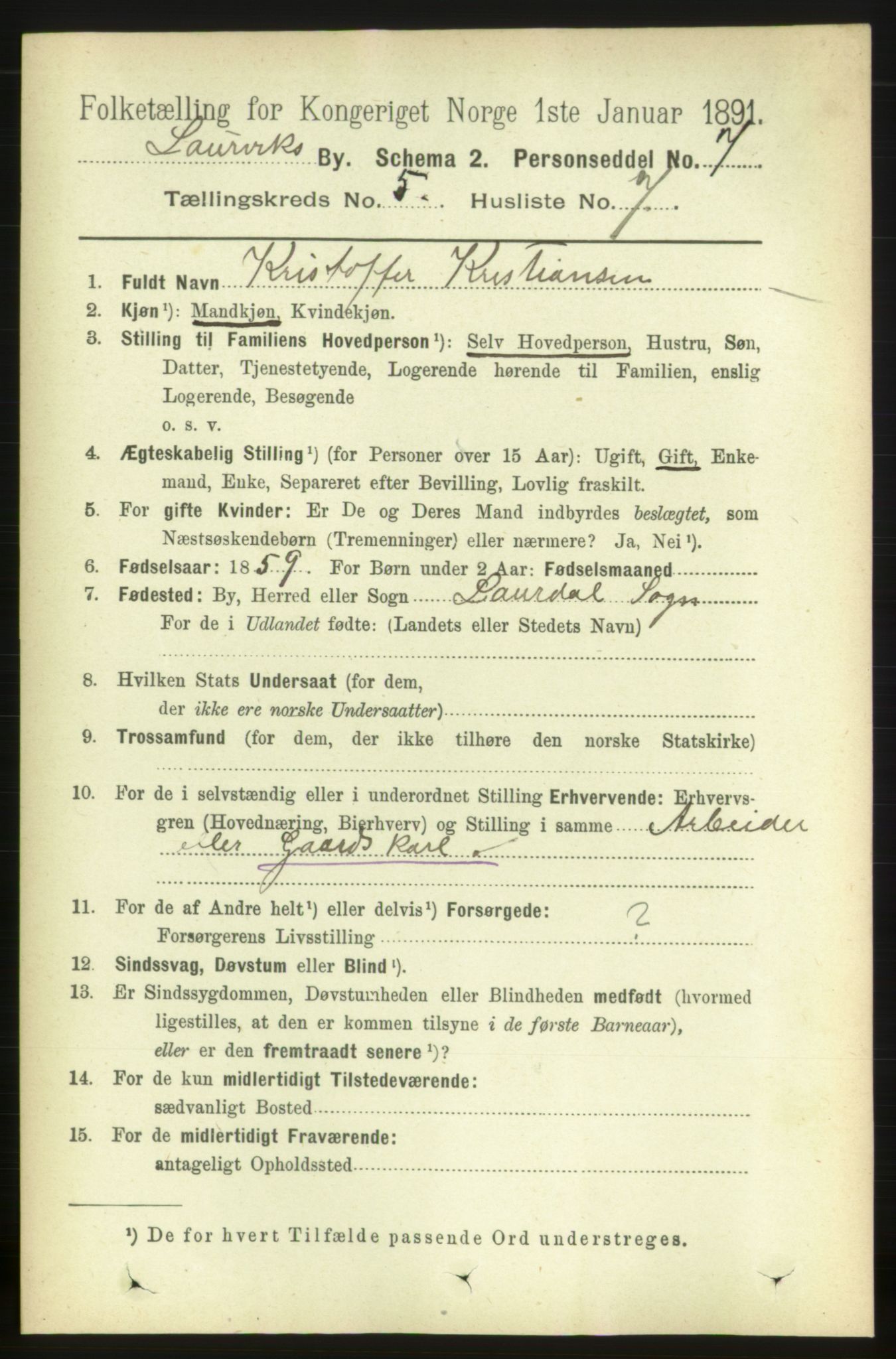 RA, 1891 census for 0707 Larvik, 1891, p. 6054