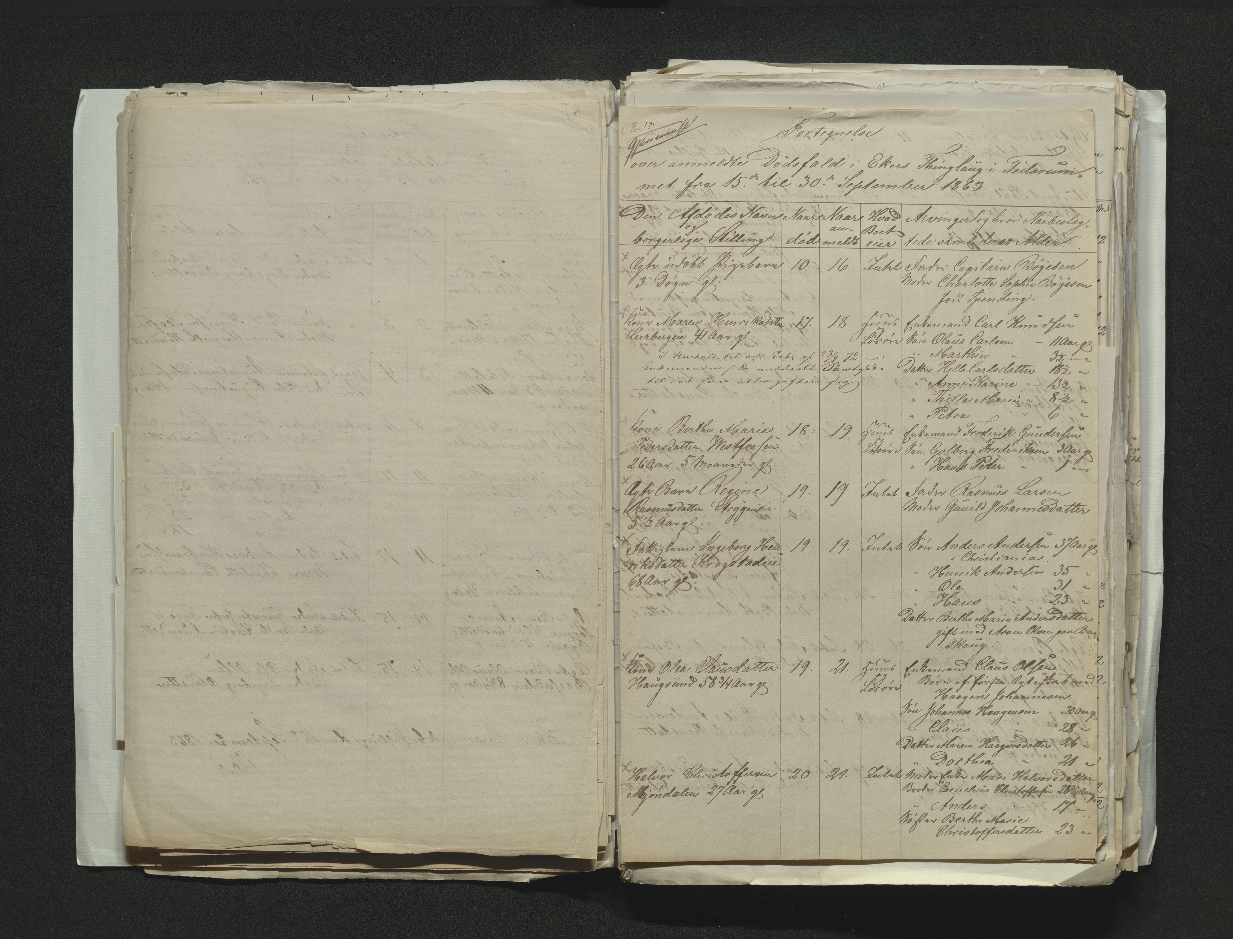 Eiker, Modum og Sigdal sorenskriveri, AV/SAKO-A-123/H/Ha/Hab/L0011: Dødsfallsmeldinger, 1862-1865, p. 204