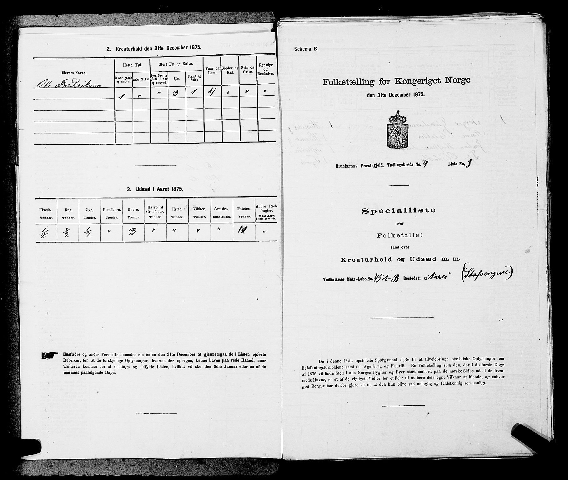 SAKO, 1875 census for 0726P Brunlanes, 1875, p. 1062