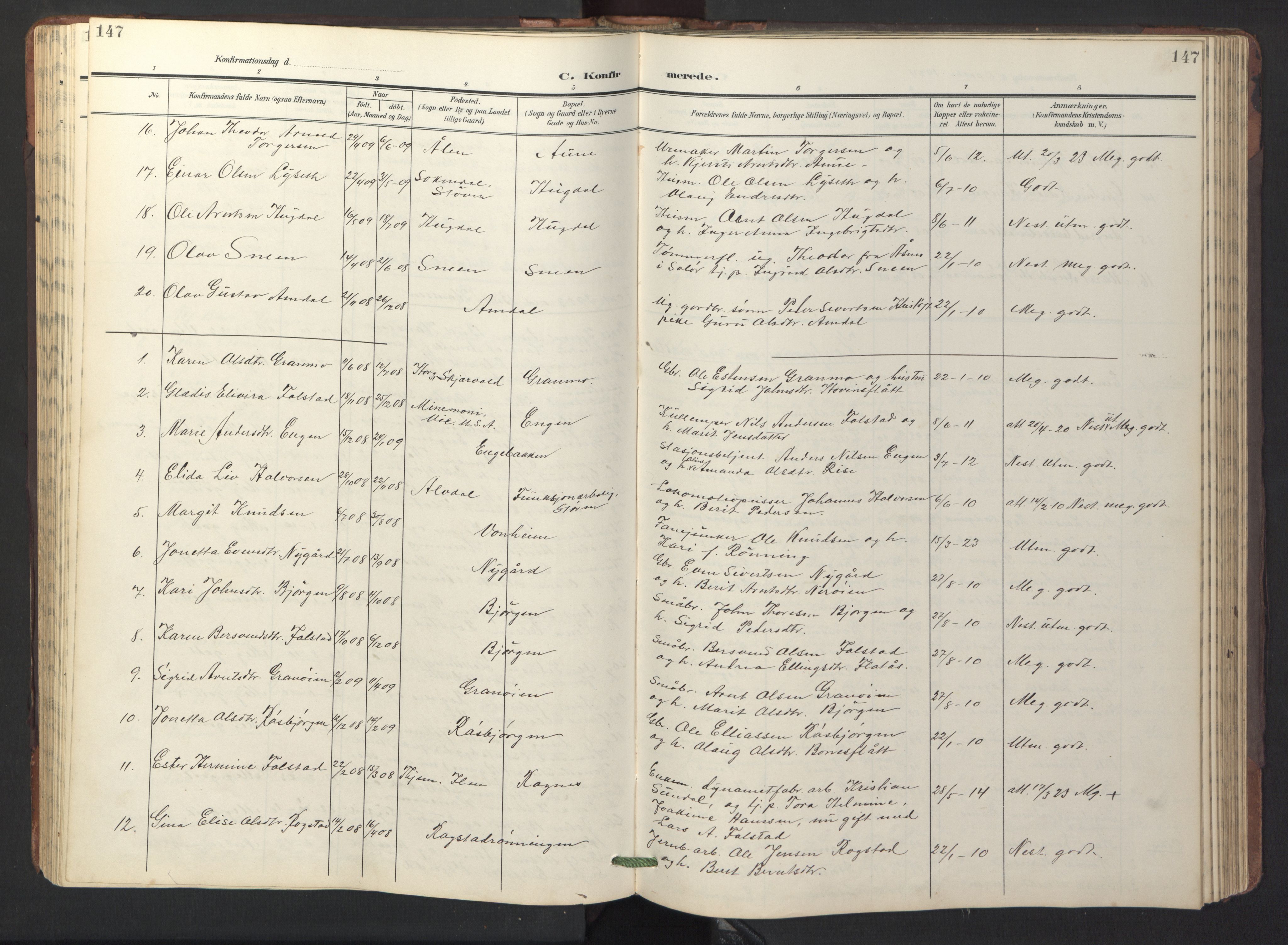 Ministerialprotokoller, klokkerbøker og fødselsregistre - Sør-Trøndelag, AV/SAT-A-1456/687/L1019: Parish register (copy) no. 687C03, 1904-1931, p. 147