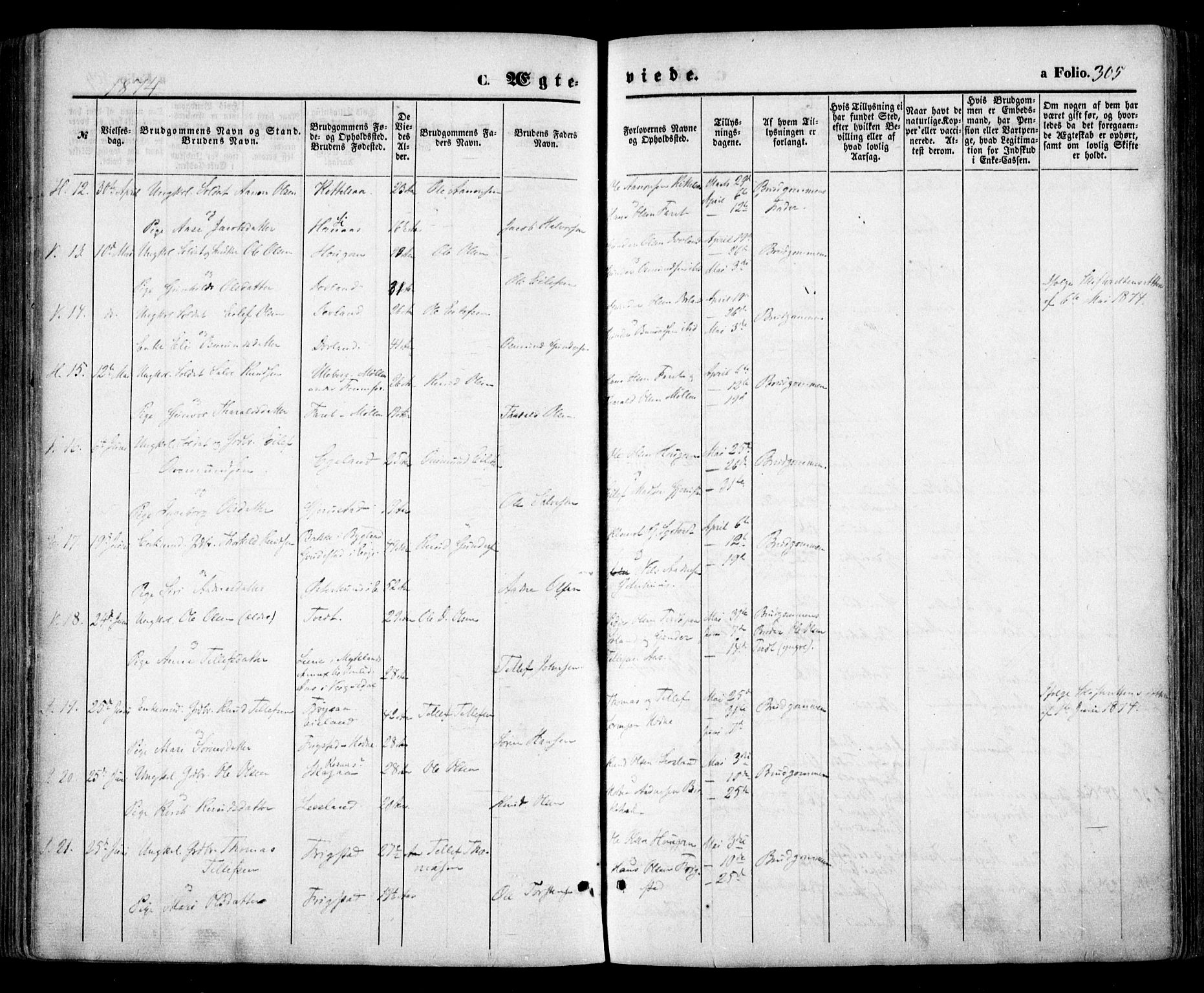 Evje sokneprestkontor, AV/SAK-1111-0008/F/Fa/Faa/L0006: Parish register (official) no. A 6, 1866-1884, p. 305