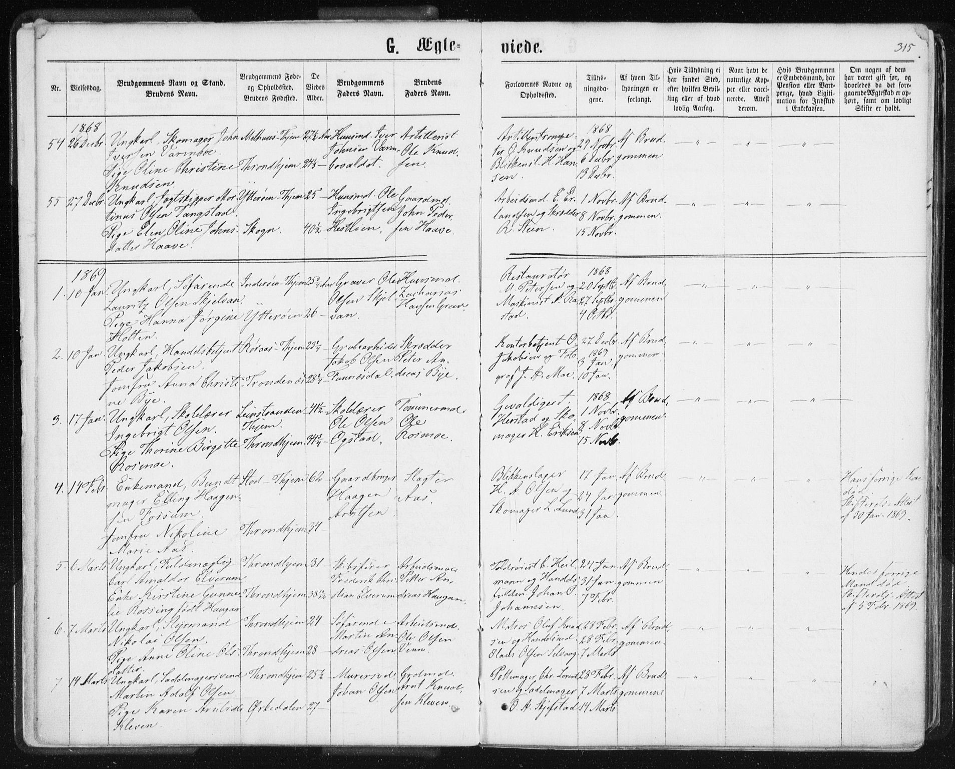 Ministerialprotokoller, klokkerbøker og fødselsregistre - Sør-Trøndelag, AV/SAT-A-1456/601/L0055: Parish register (official) no. 601A23, 1866-1877, p. 315